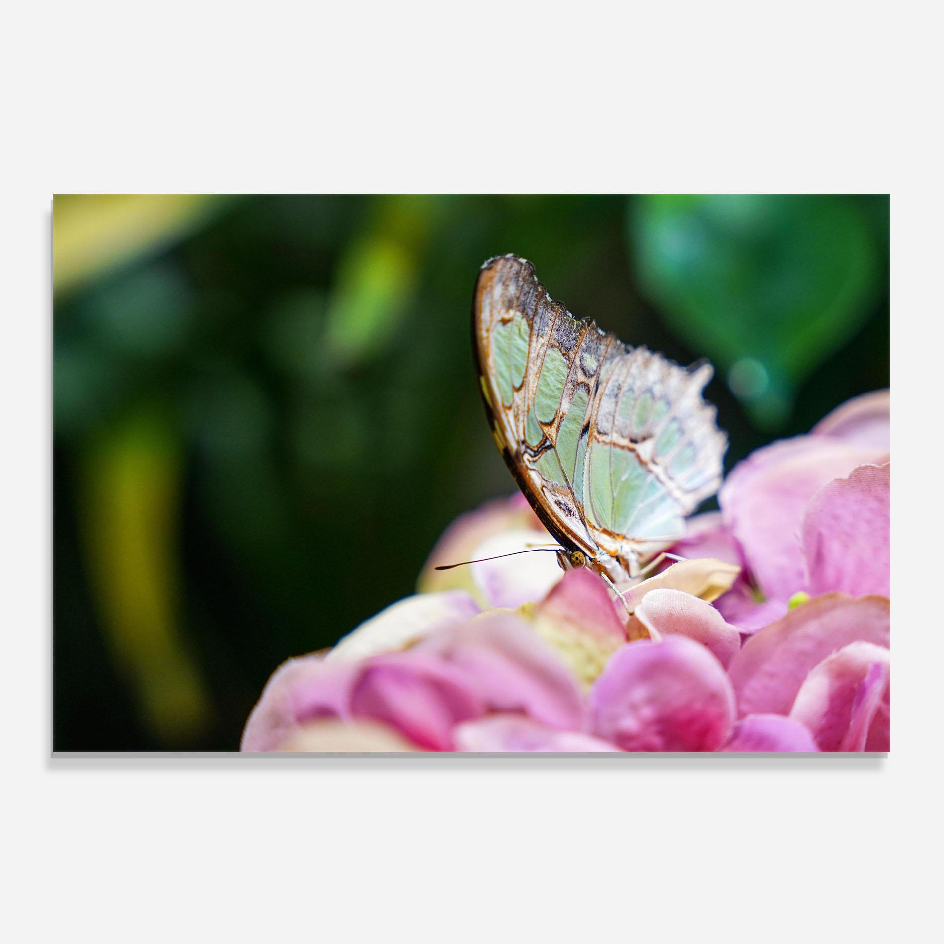 Panou Sticla Bucatarie Nazrin Babashova Diuumqmfwys Unsplash mockup 0