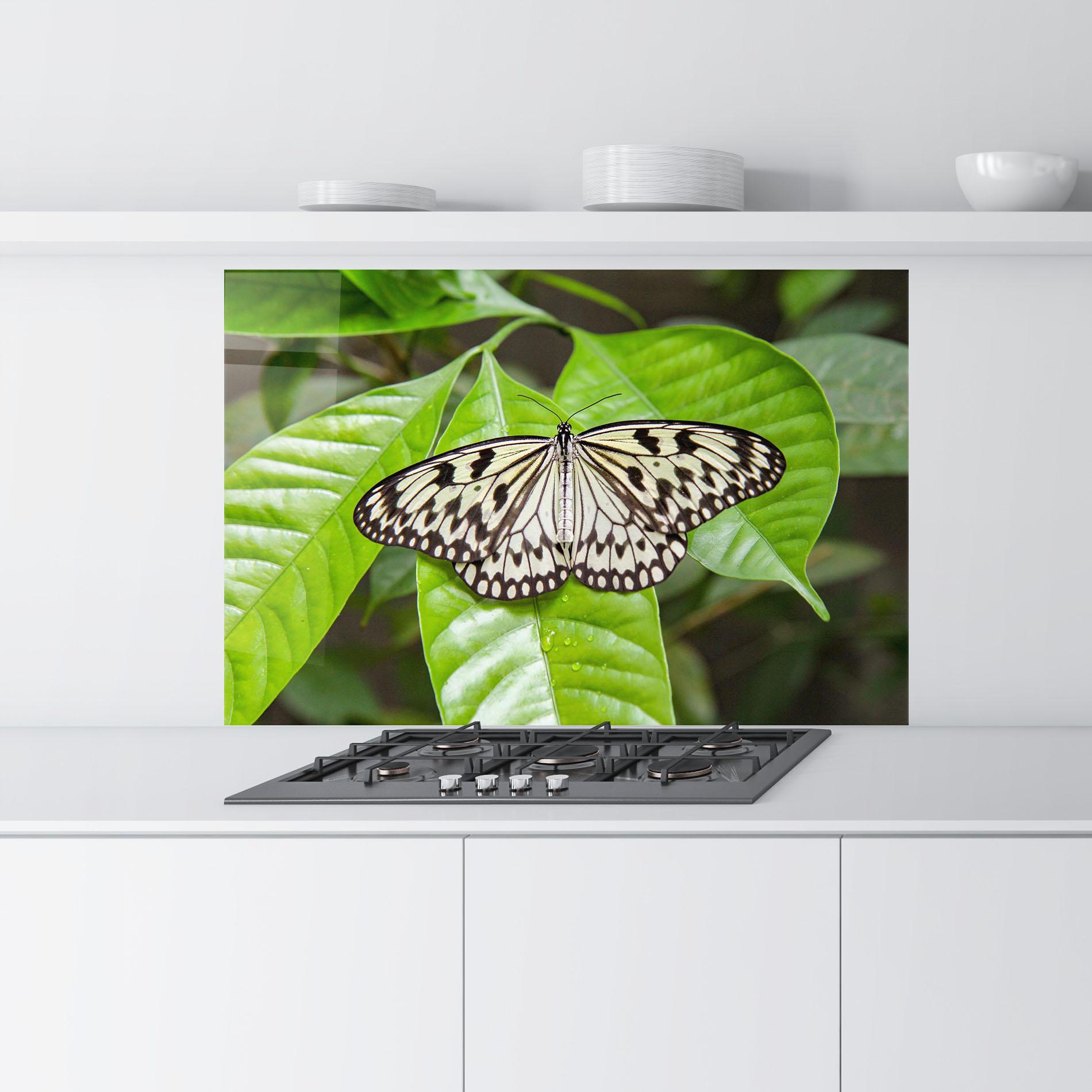 Panou Sticla Bucatarie Beautiful White Butterfly mockup 9