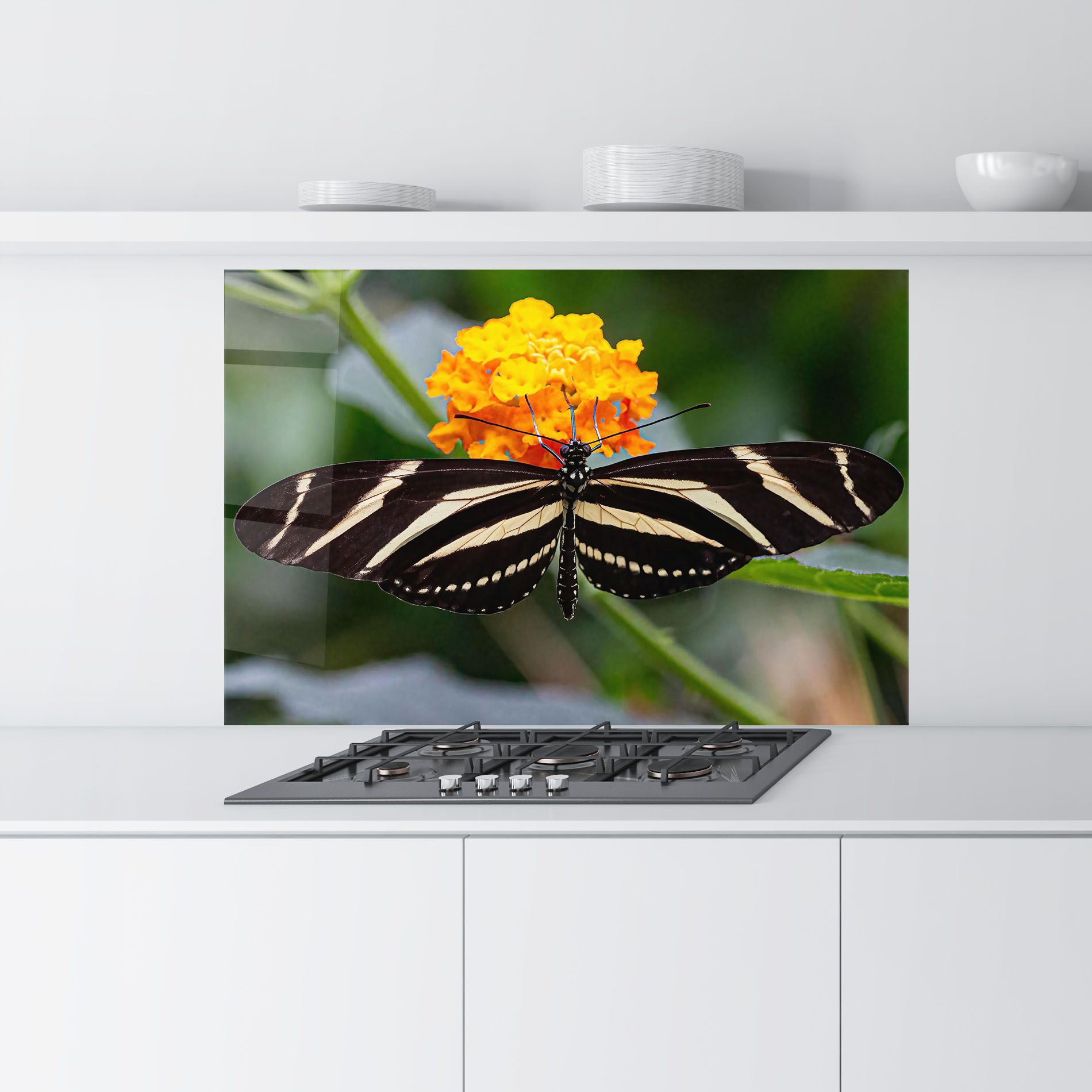 Big Wings Butterfly mockup 9
