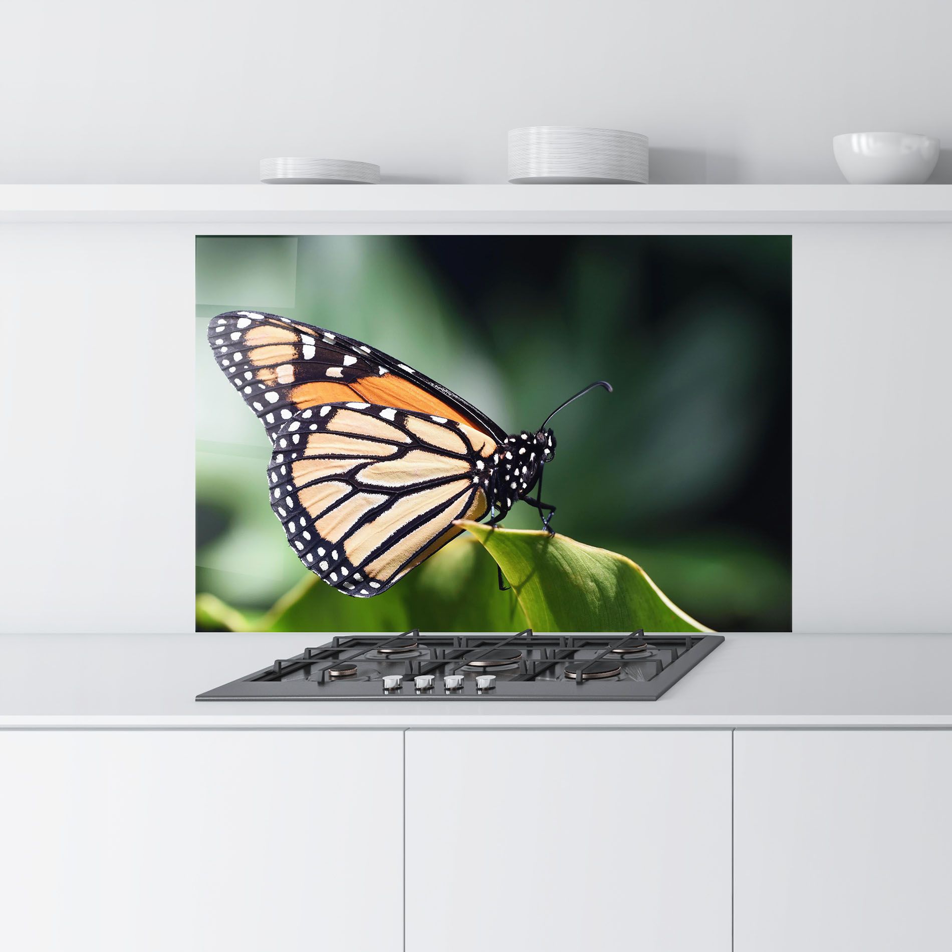 Light Orange Butterfly mockup 9