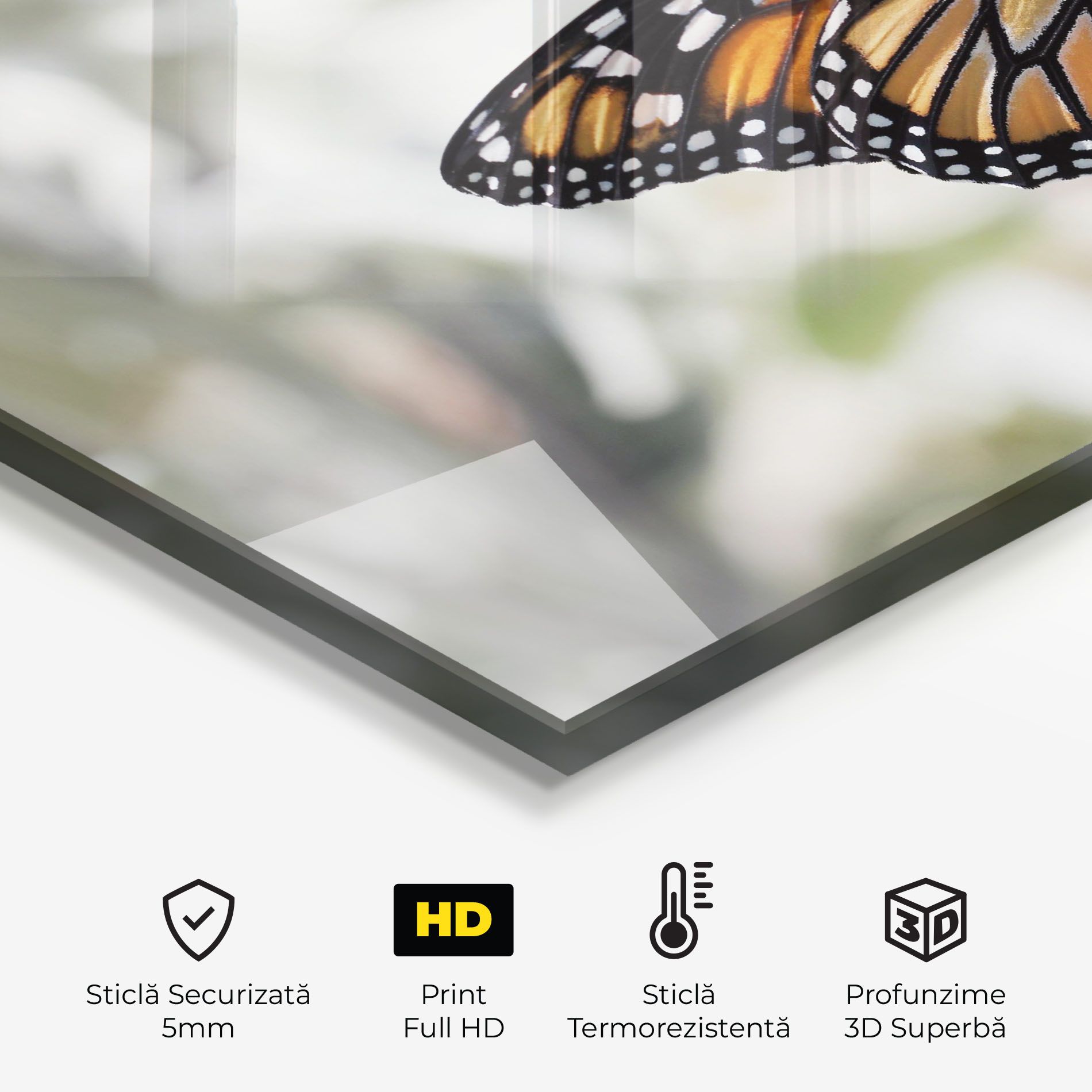 Beauty Butterfly mockup 2