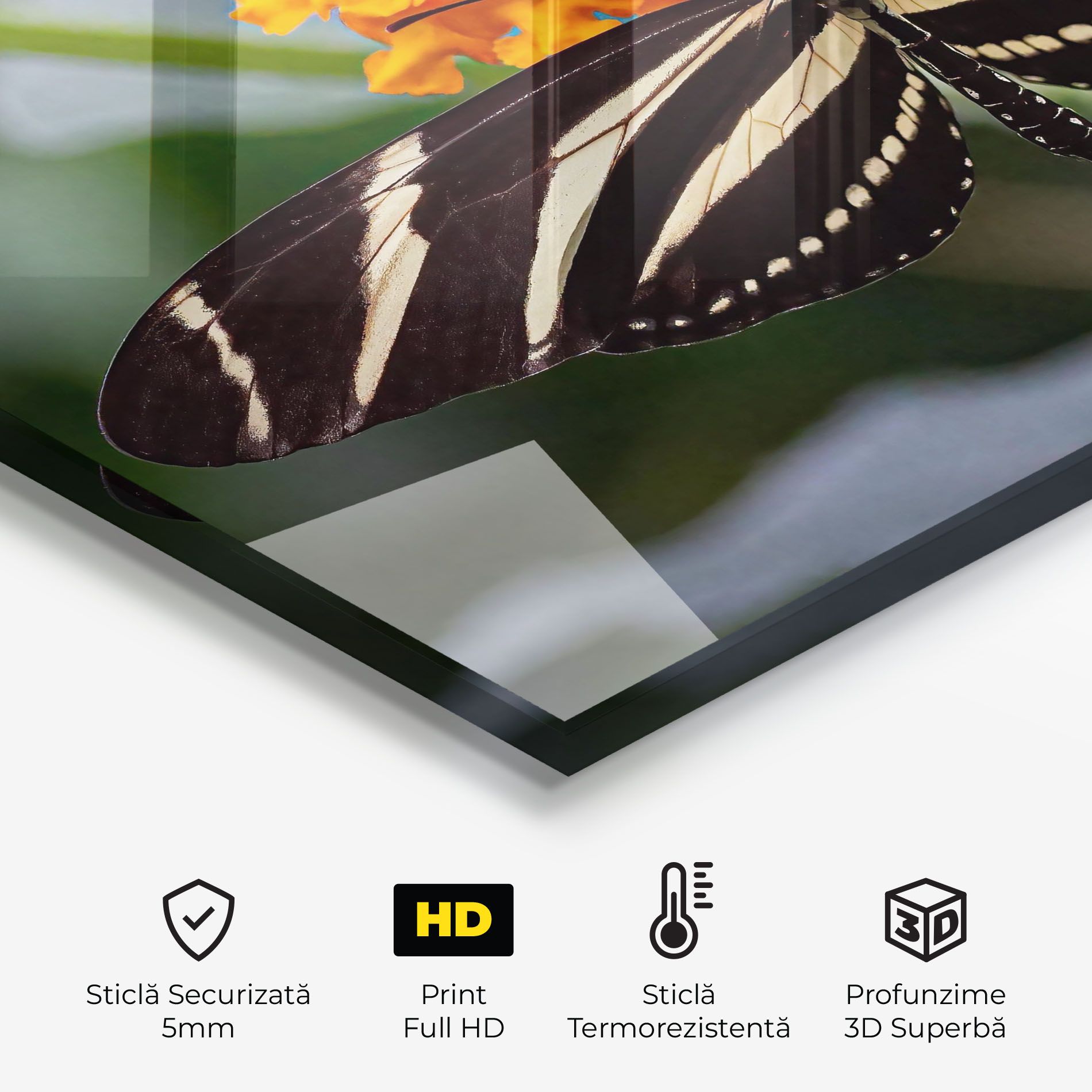 Big Wings Butterfly mockup 2