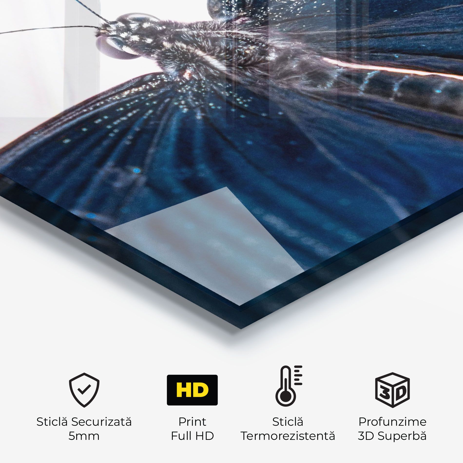 Blue Butterfly mockup 2