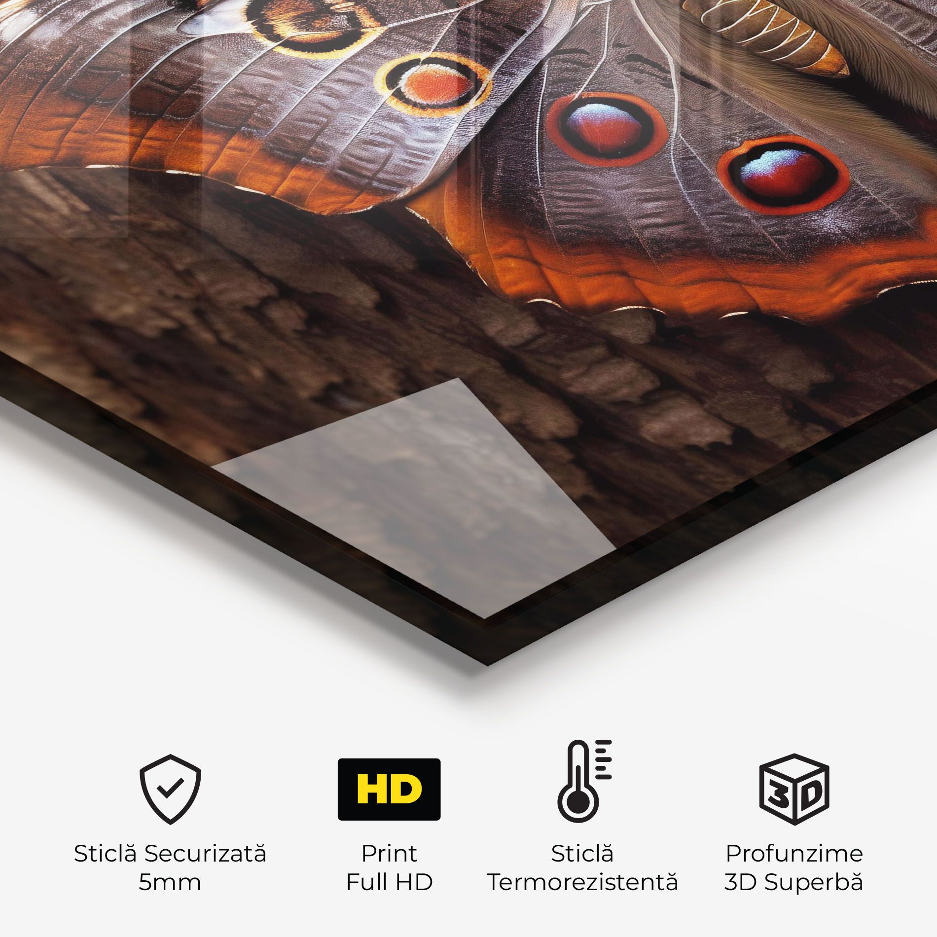 Brown Eyes Butterfly mockup 2