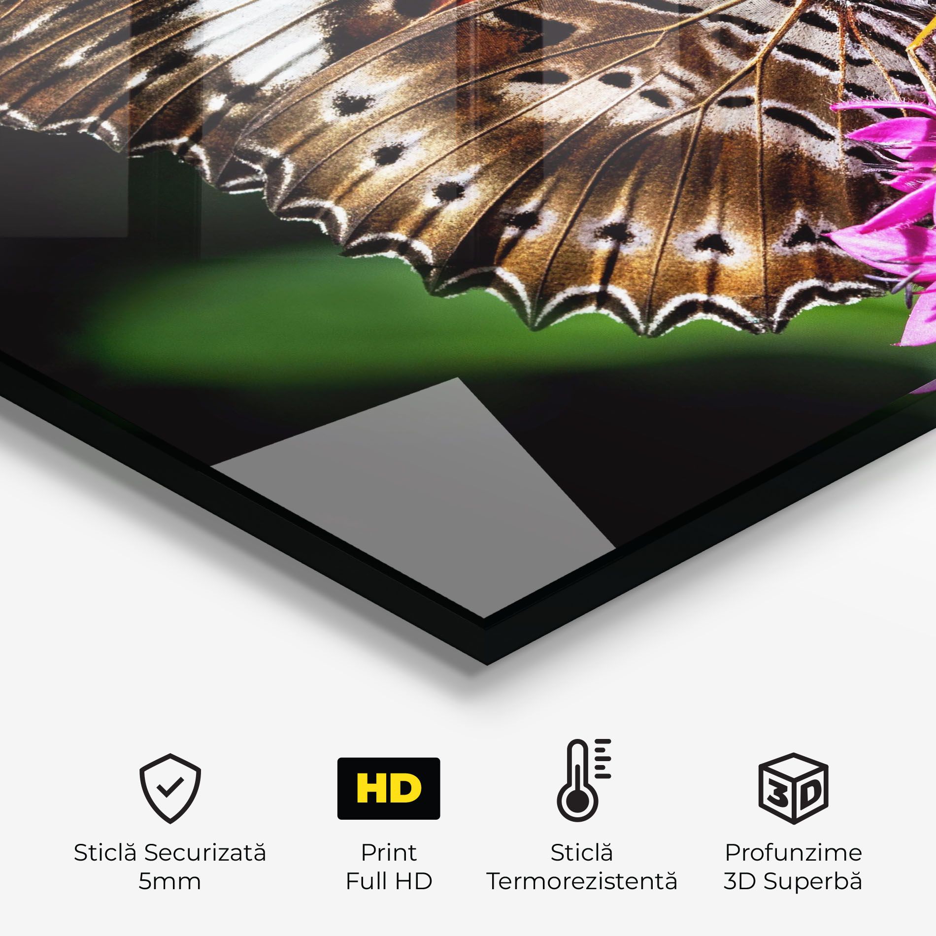 Brown Red Butterfly mockup 2