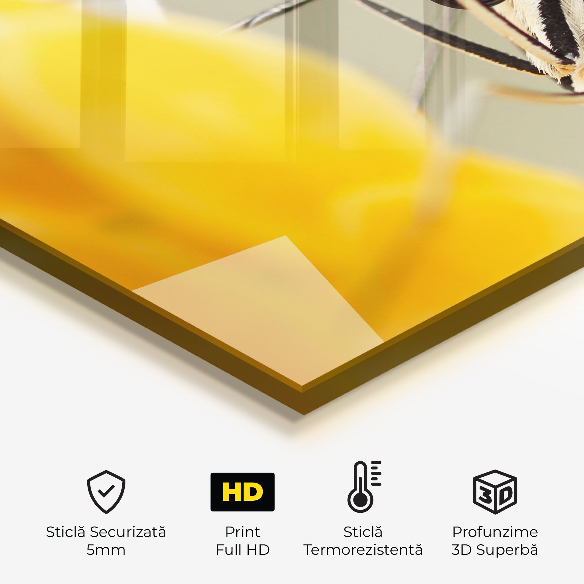 Close Up Cream Butterfly mockup 2