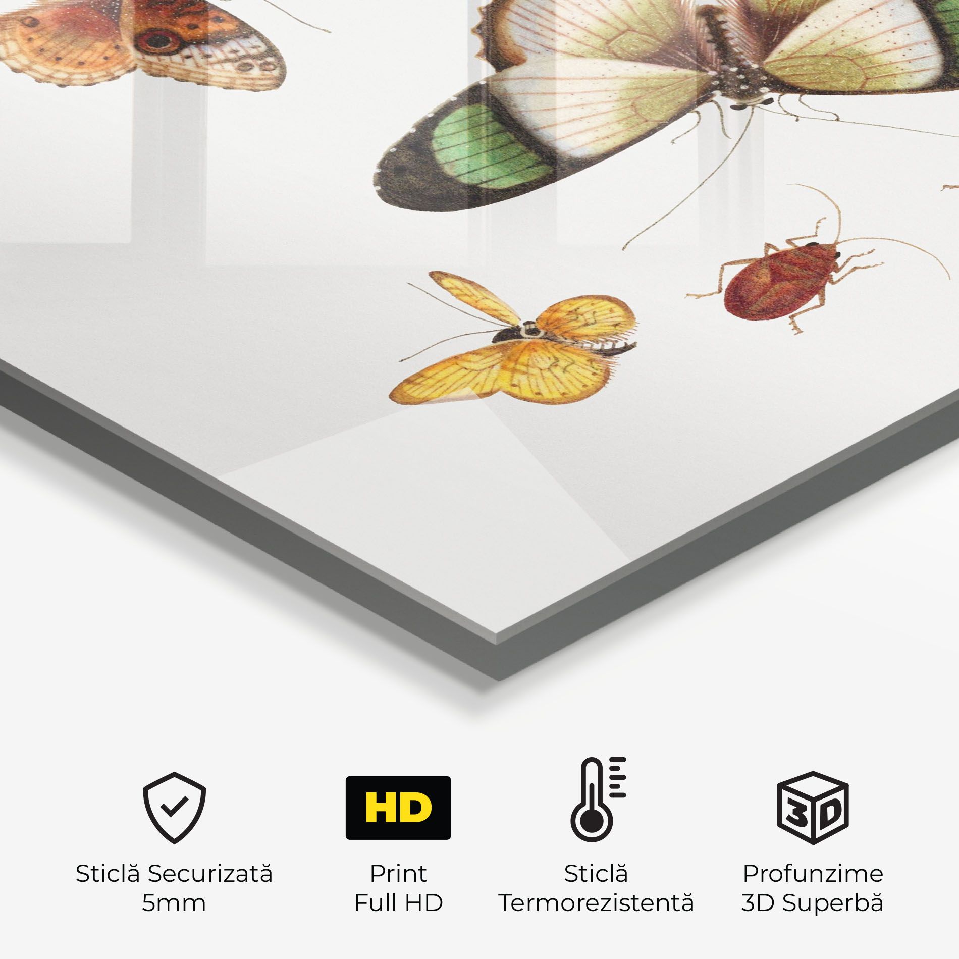 Green Cream Butterfly mockup 2