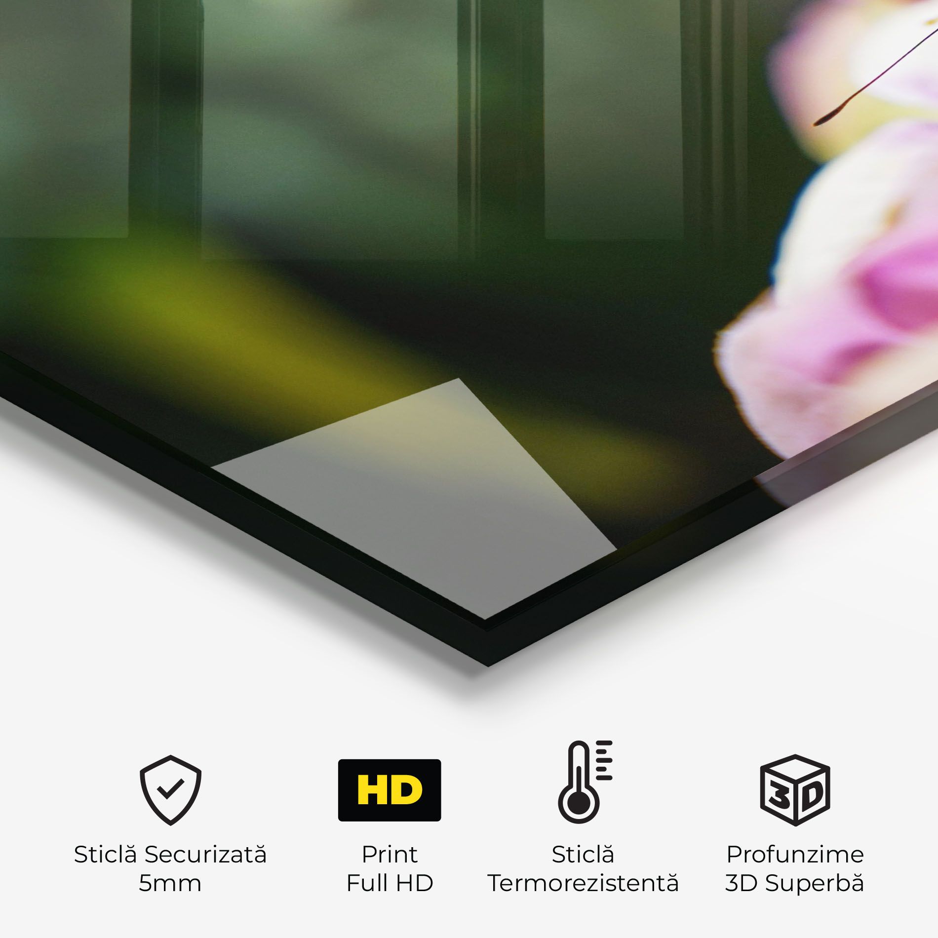 Nazrin Babashova Diuumqmfwys Unsplash mockup 2