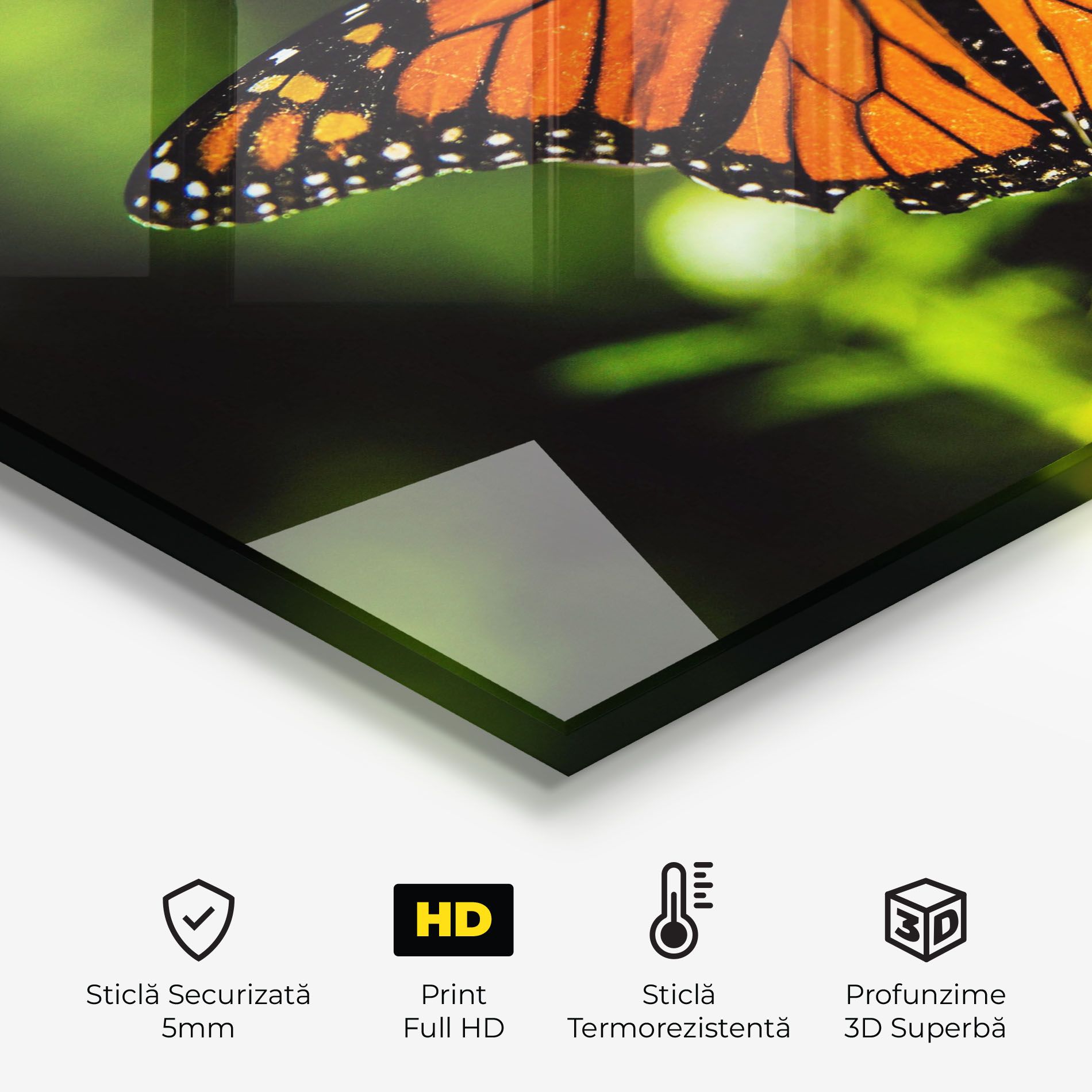 Orange Open Butterfly mockup 2