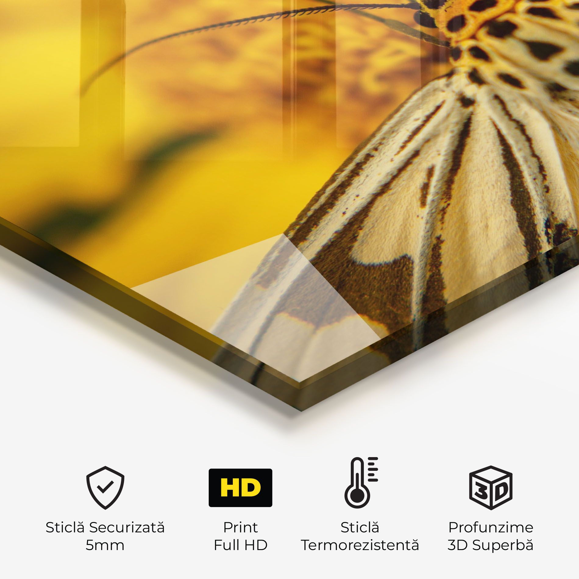 Pollen Butterfly mockup 2