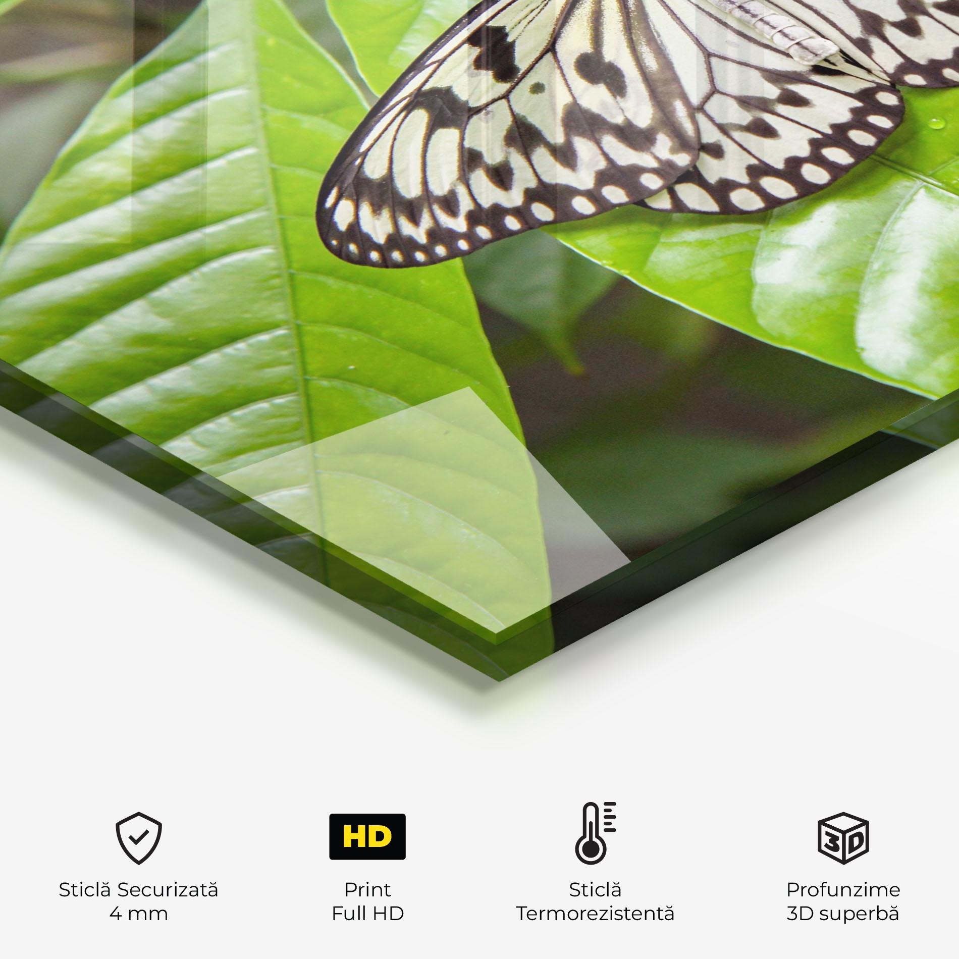 Panou Sticla Bucatarie Beautiful White Butterfly mockup 2