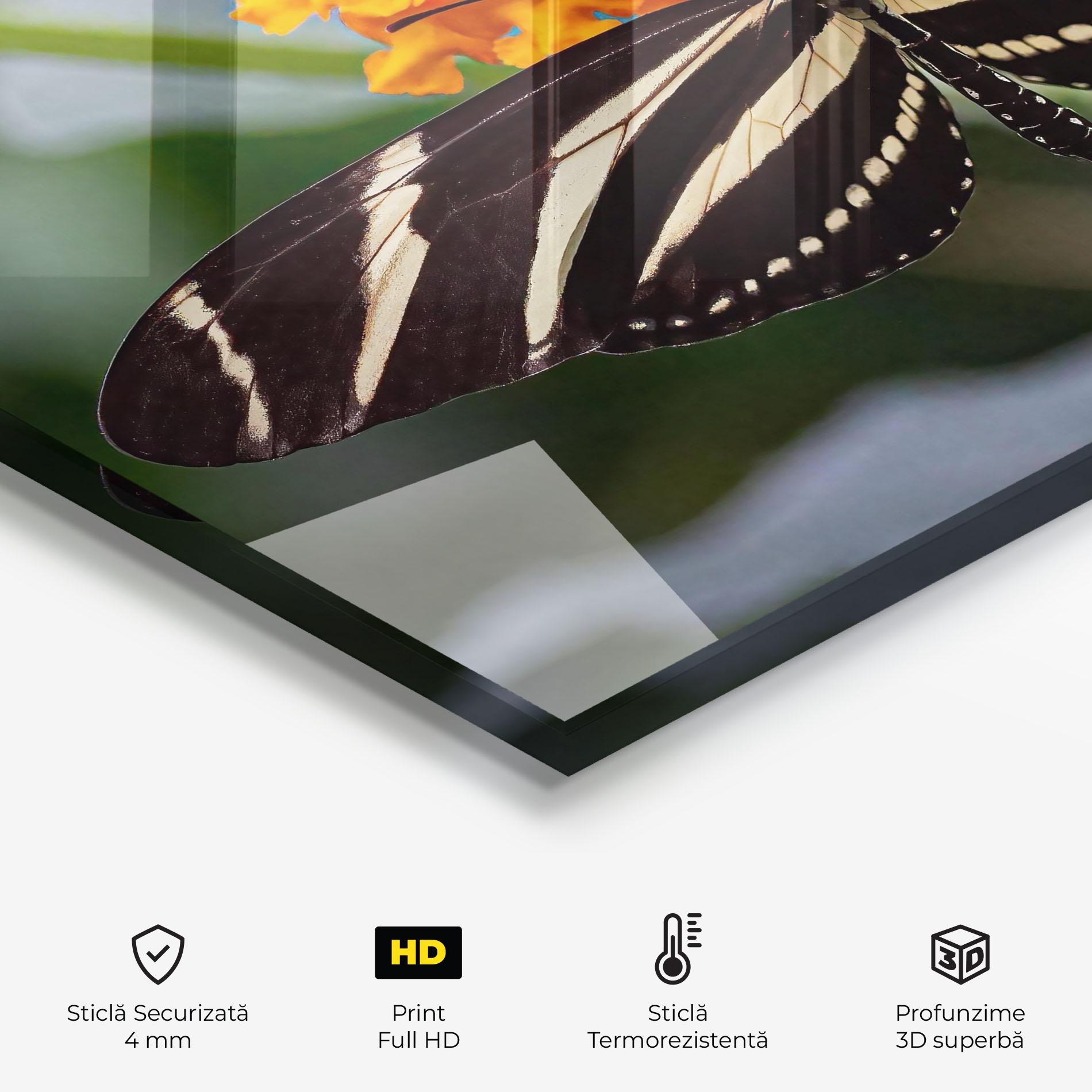 Panou Sticla Bucatarie Big Wings Butterfly mockup 2