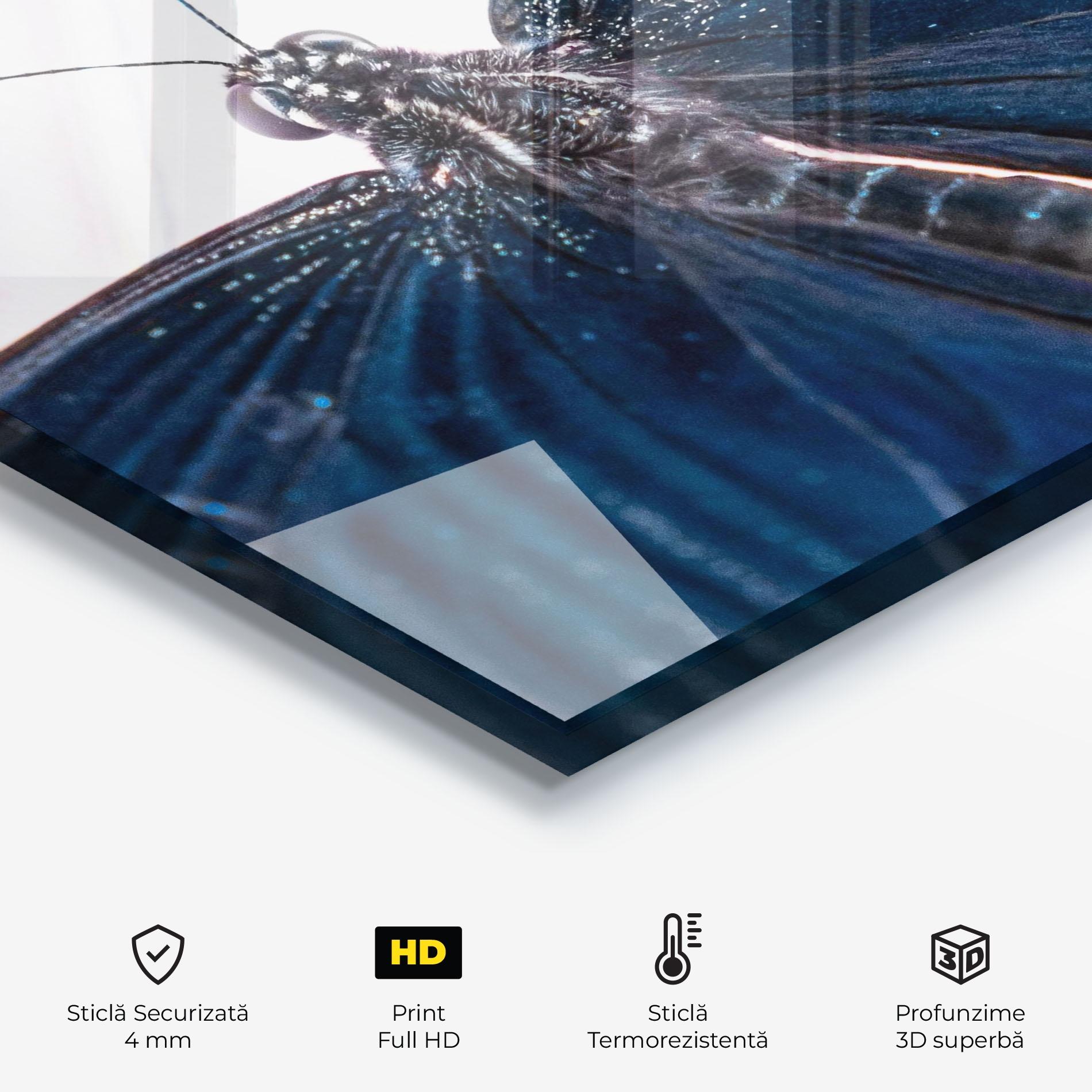 Panou Sticla Bucatarie Blue Butterfly mockup 2