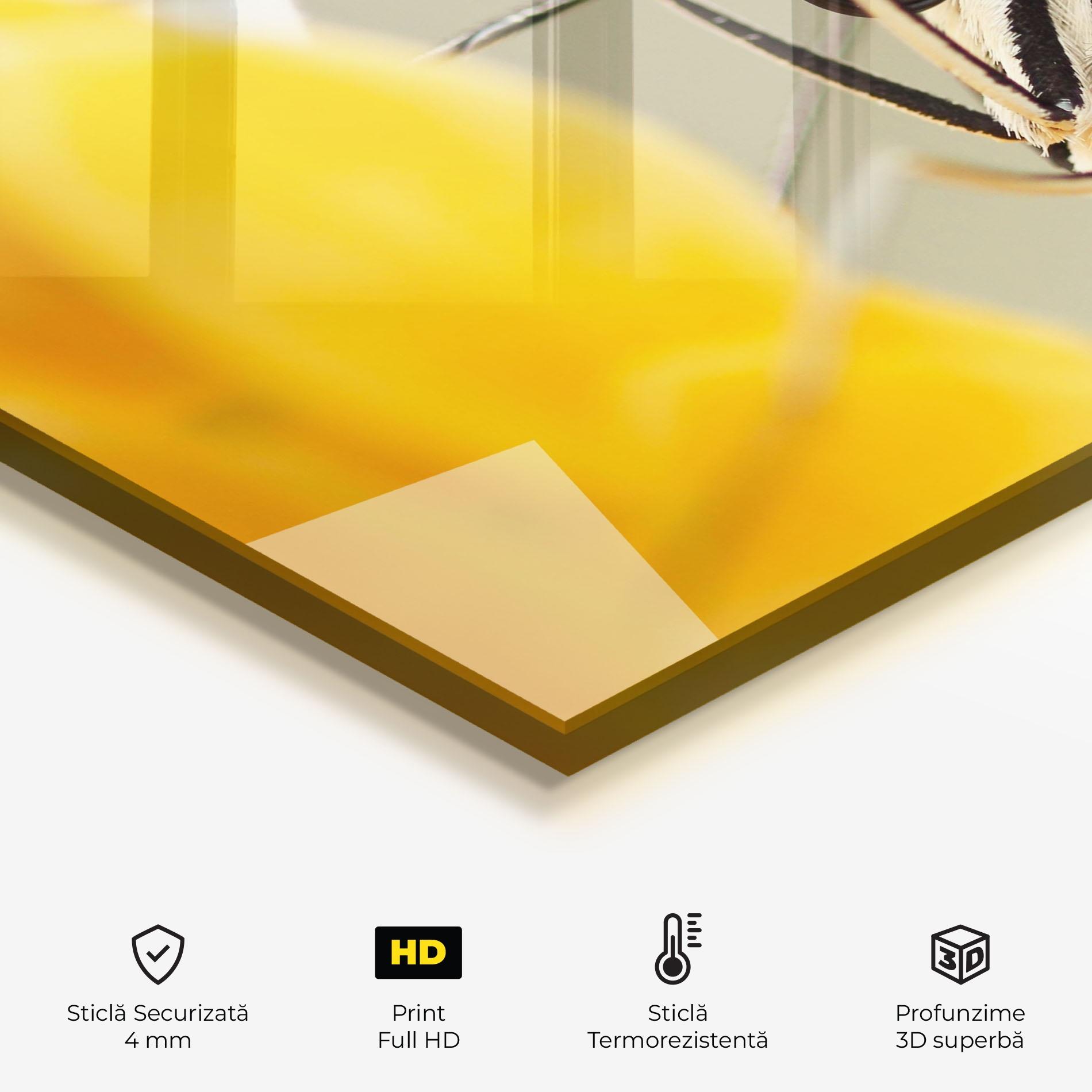 Panou Sticla Bucatarie Close Up Cream Butterfly mockup 2