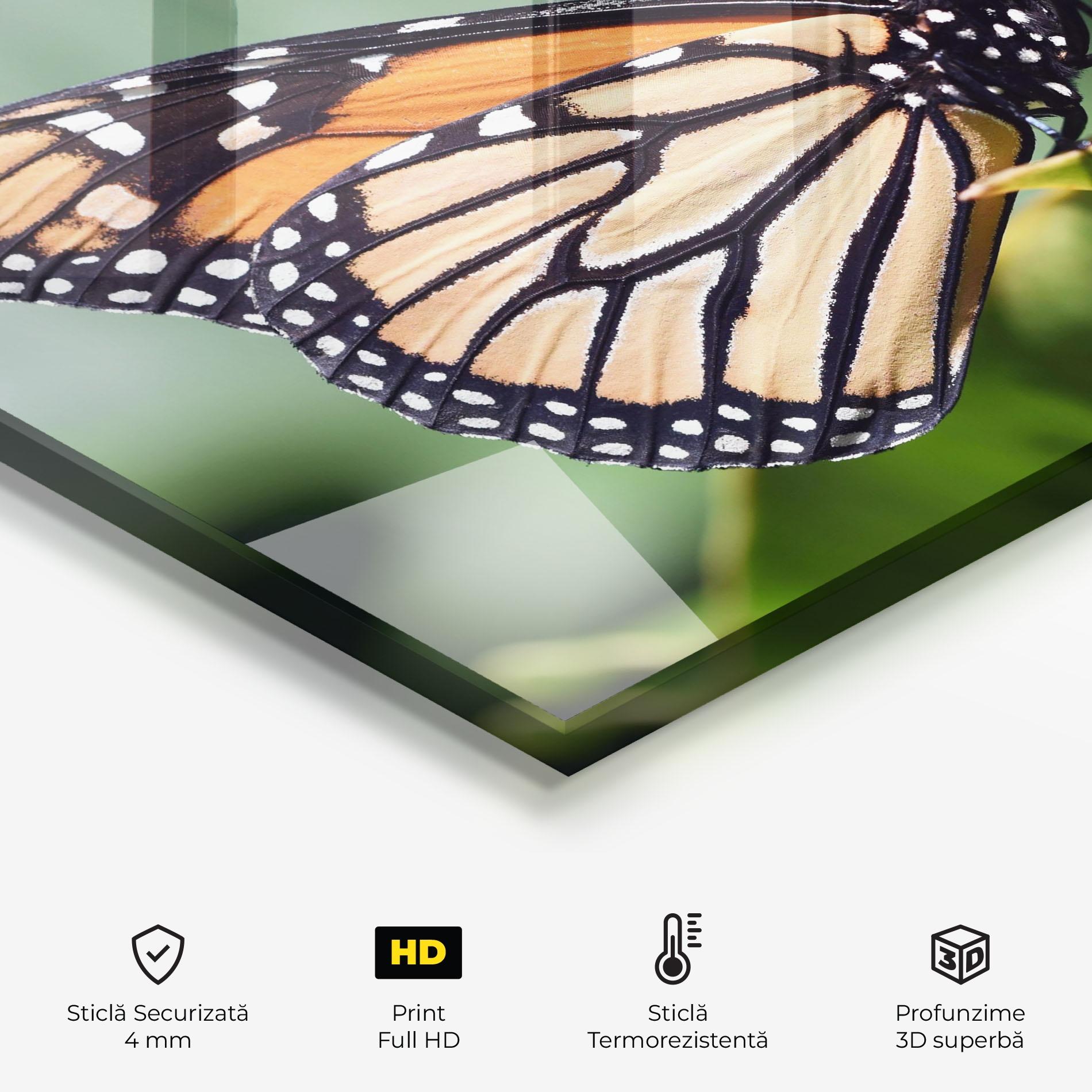 Panou Sticla Bucatarie Light Orange Butterfly mockup 2