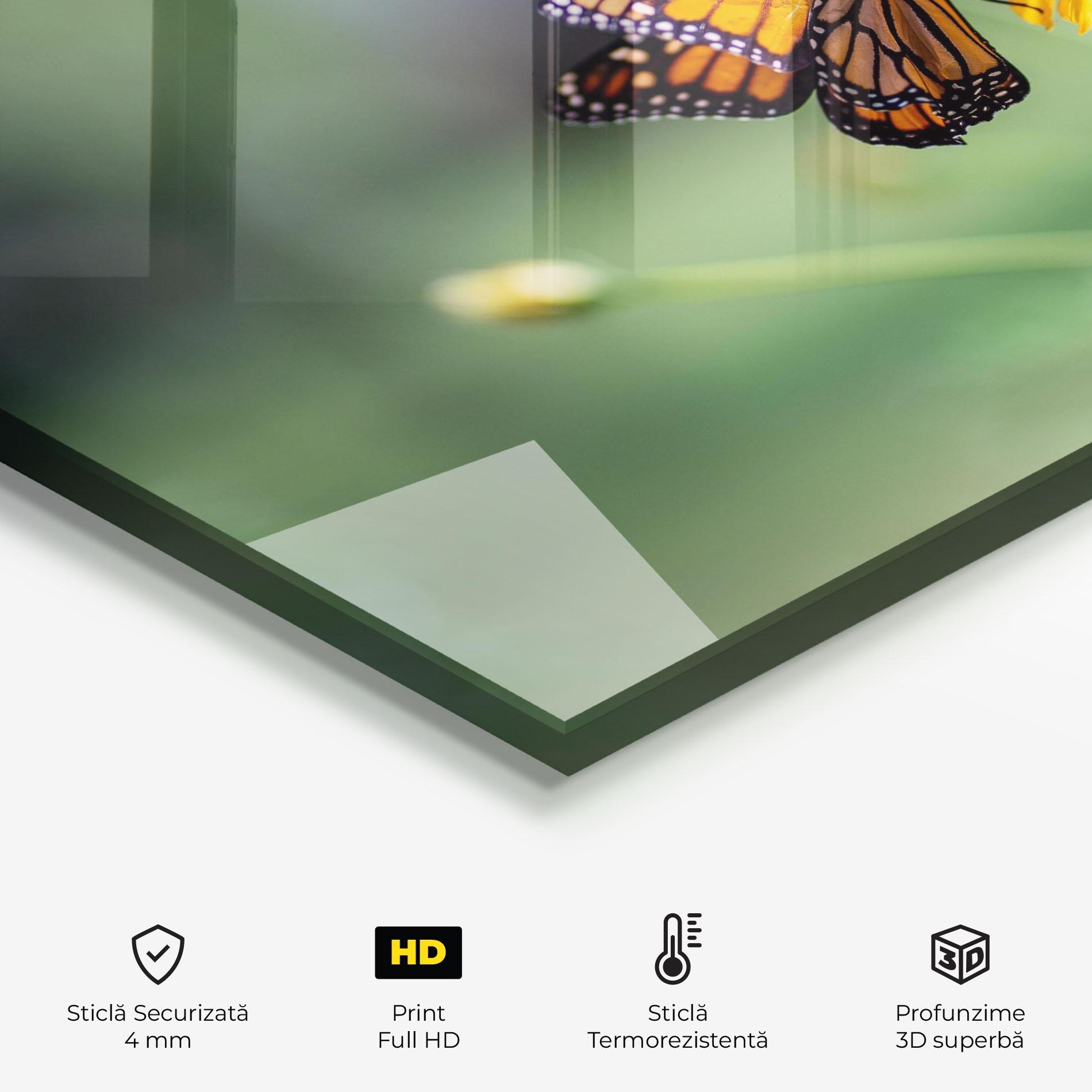 Panou Sticla Bucatarie Nice Orange Butterfly mockup 2