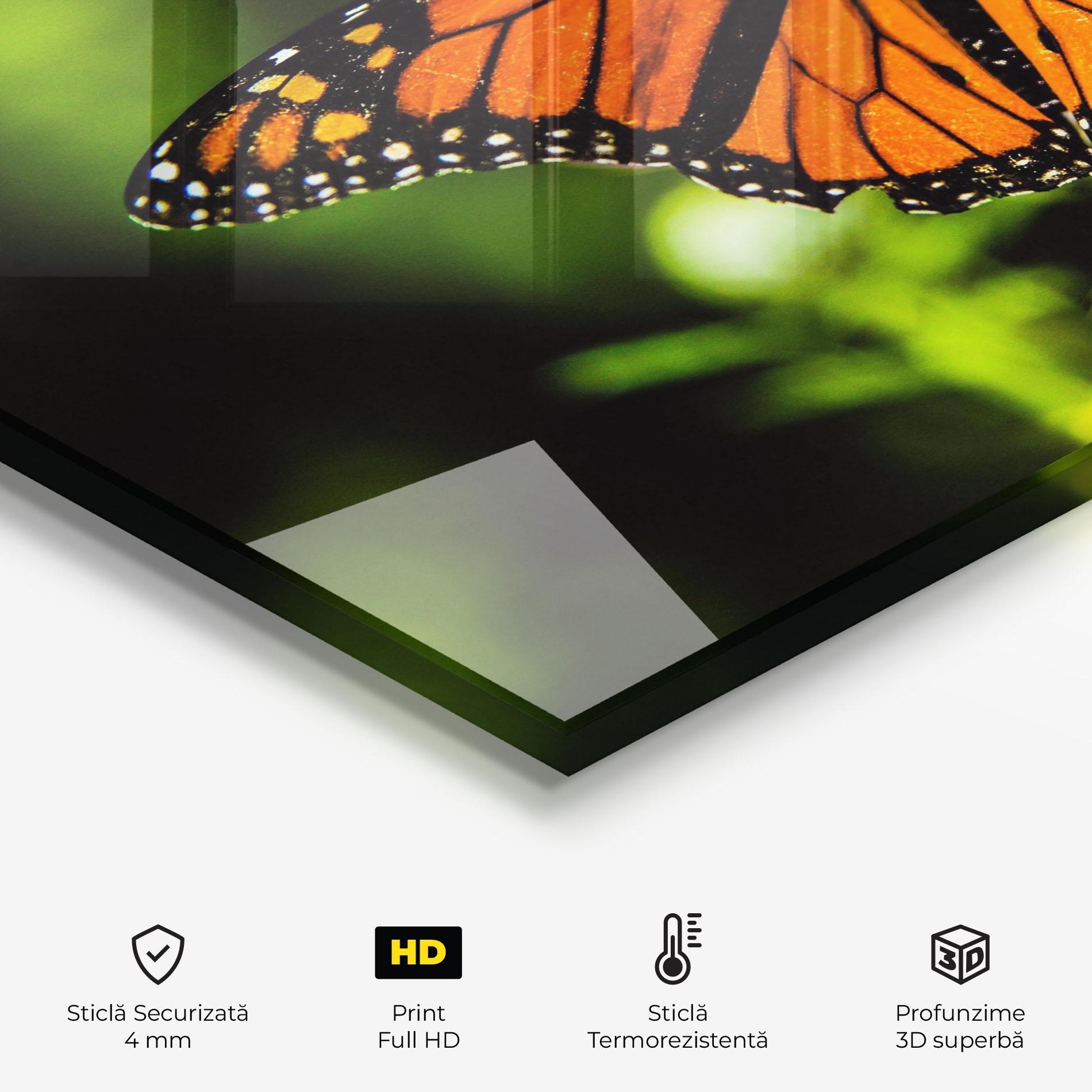 Panou Sticla Bucatarie Orange Open Butterfly mockup 2