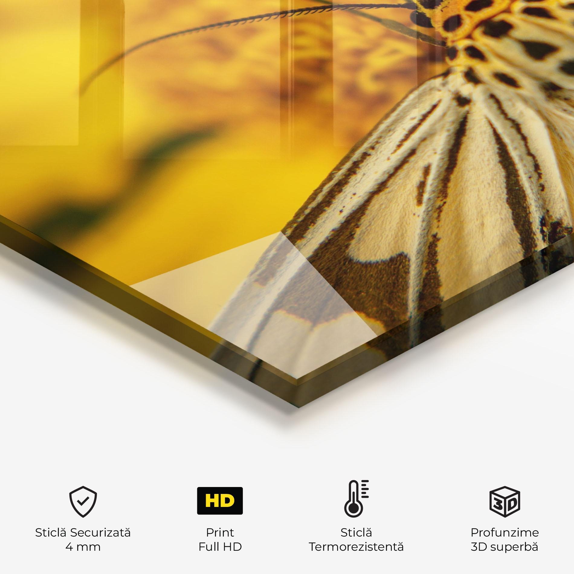 Panou Sticla Bucatarie Pollen Butterfly mockup 2