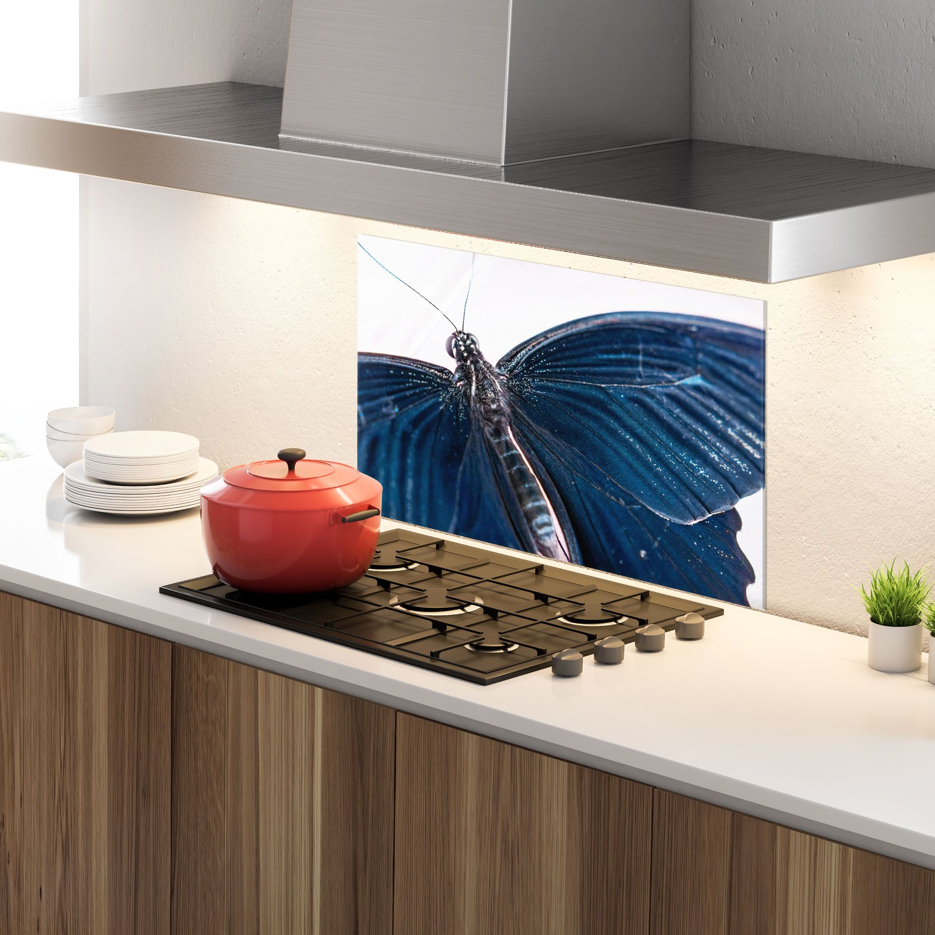 Blue Butterfly mockup 4