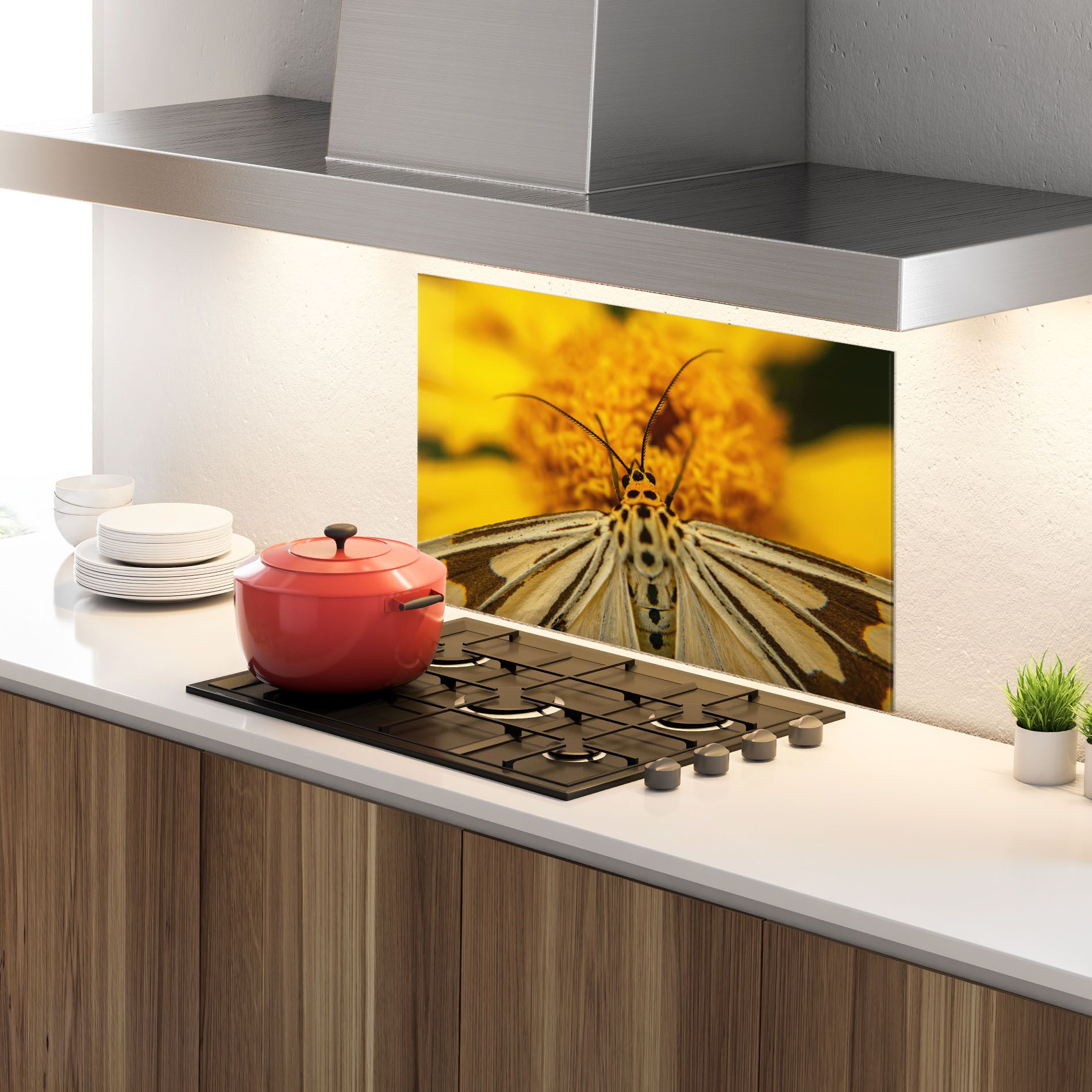 Pollen Butterfly mockup 4