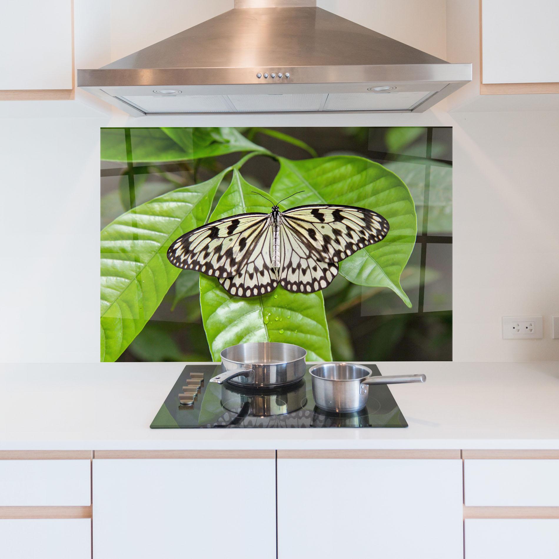 Panou Sticla Bucatarie Beautiful White Butterfly mockup 5