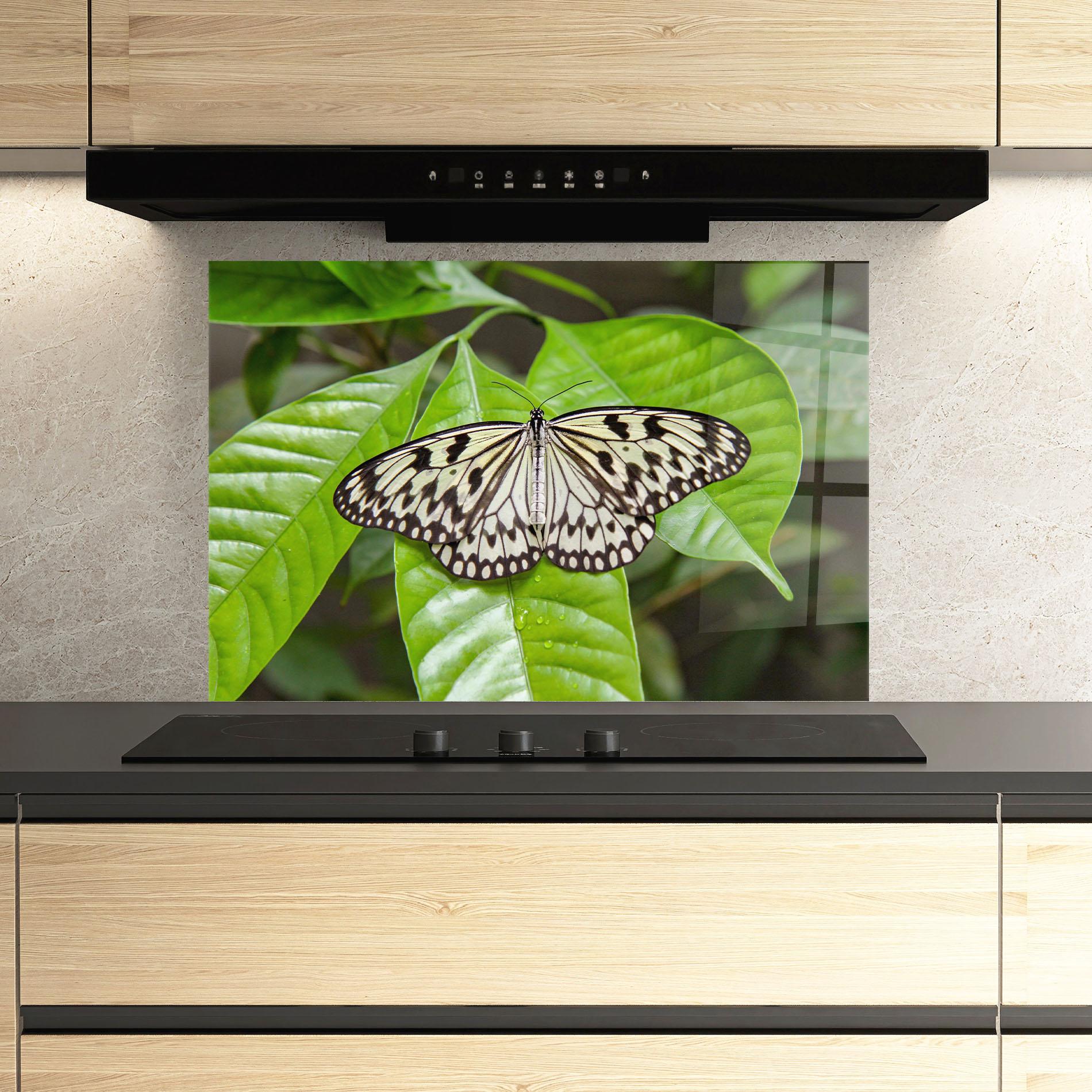 Panou Sticla Bucatarie Beautiful White Butterfly mockup 3