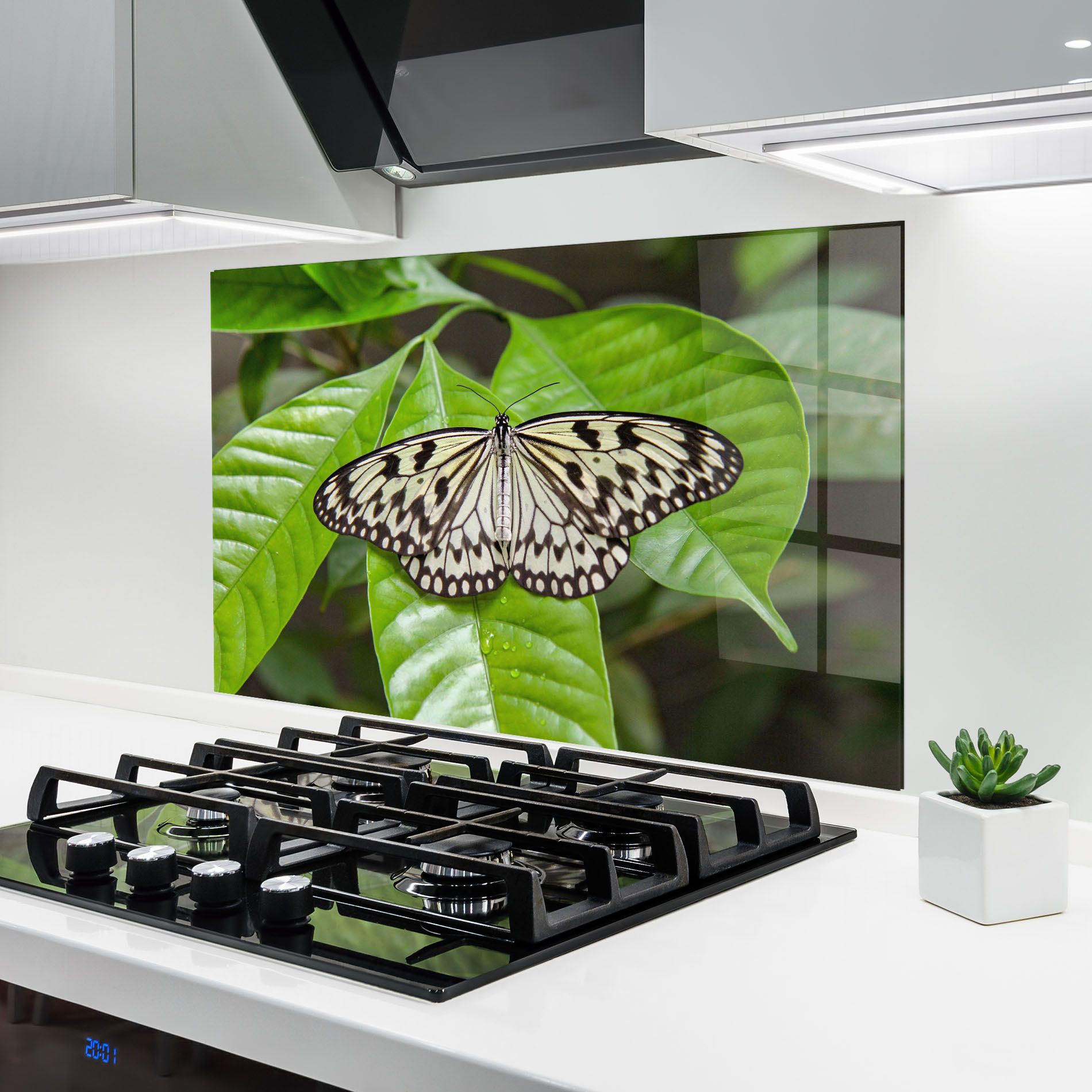 Beautiful White Butterfly mockup 6