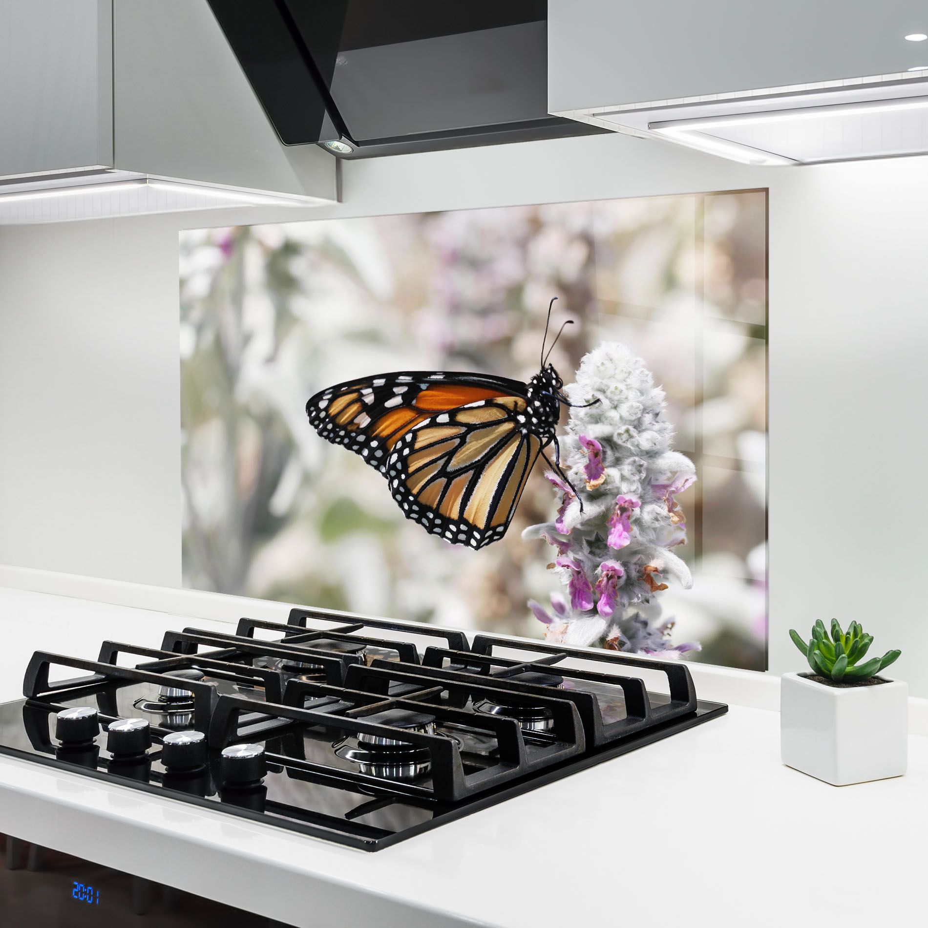 Beauty Butterfly mockup 6