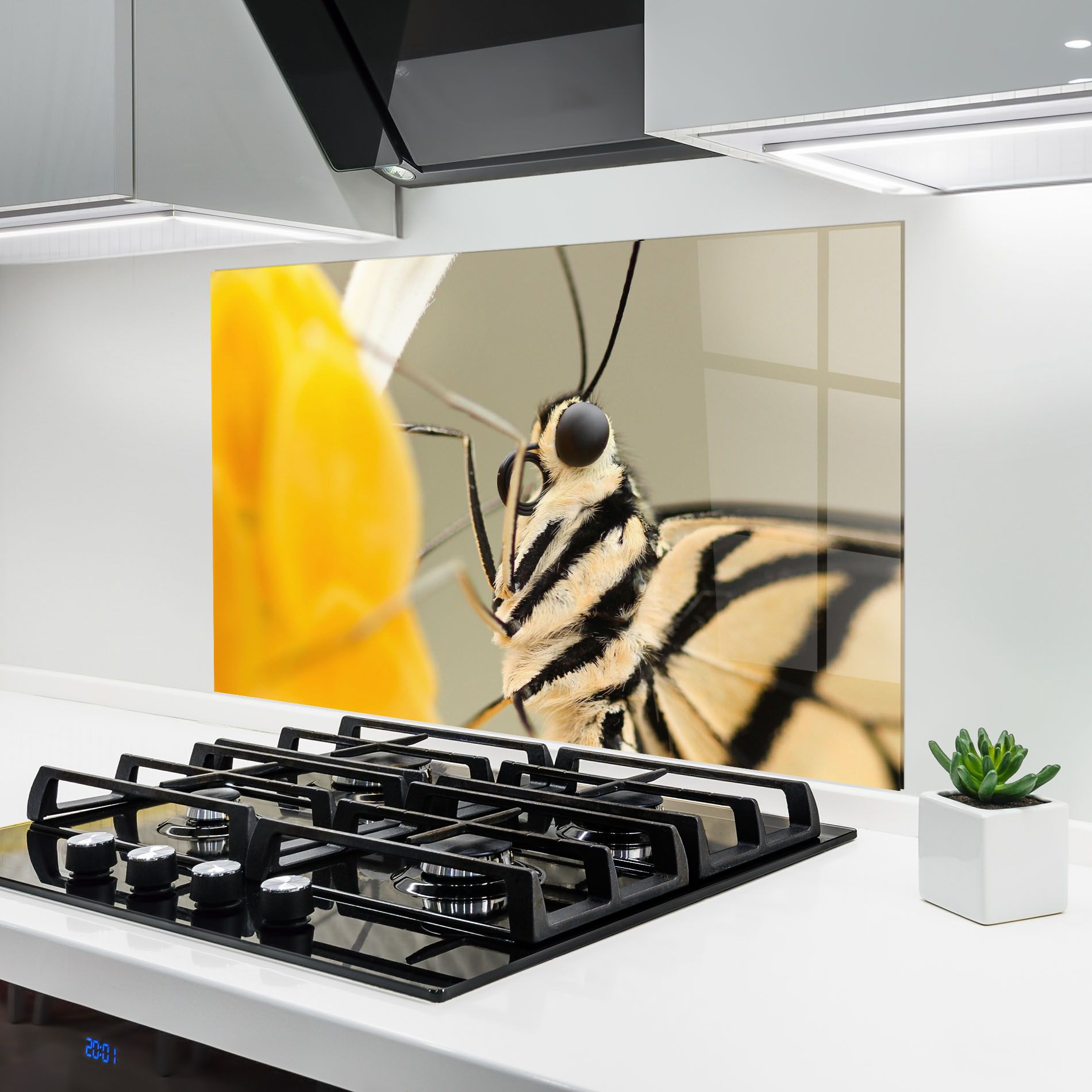 Close Up Cream Butterfly mockup 6