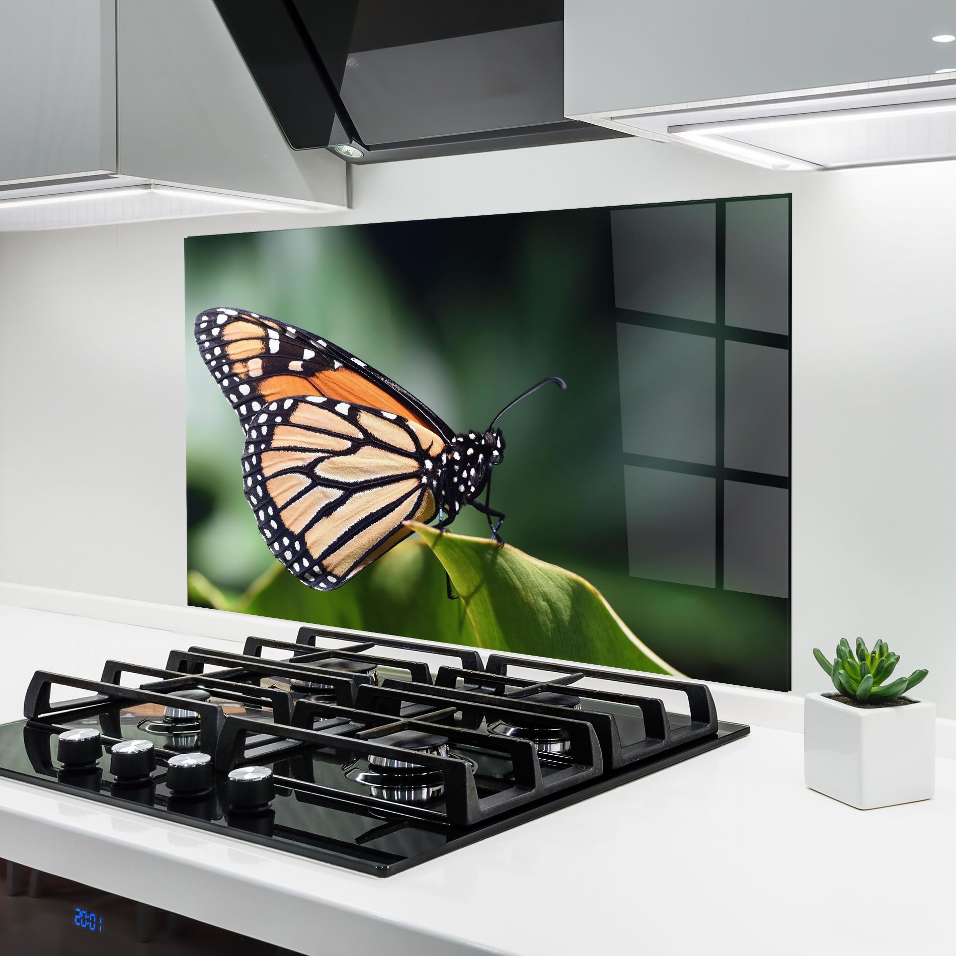 Light Orange Butterfly mockup 6