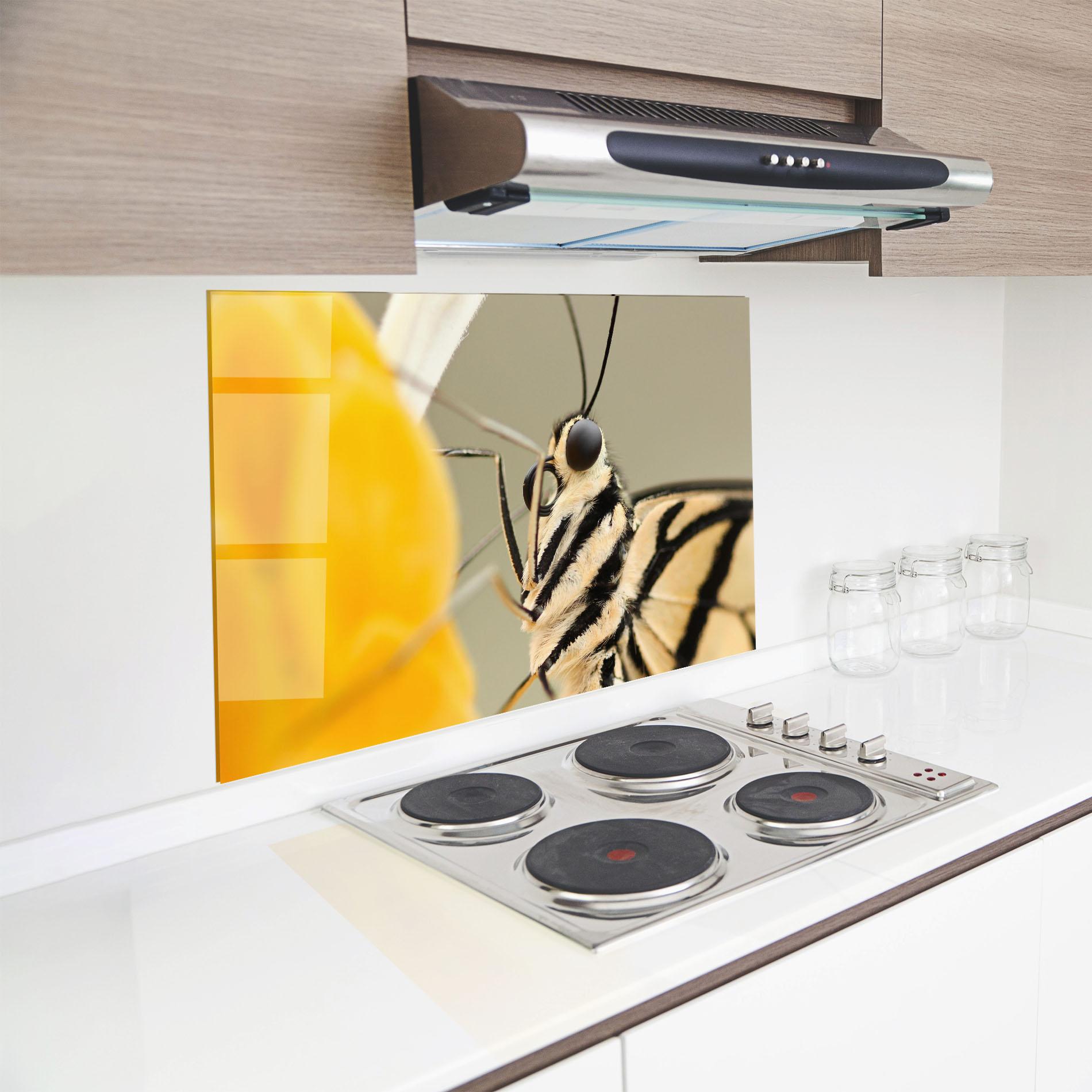 Panou Sticla Bucatarie Close Up Cream Butterfly mockup 8