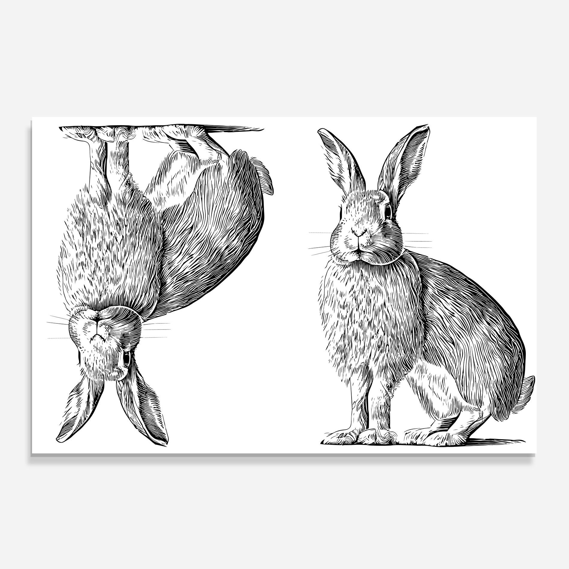 Panou Sticla Bucatarie Rabbit Sketch mockup 0
