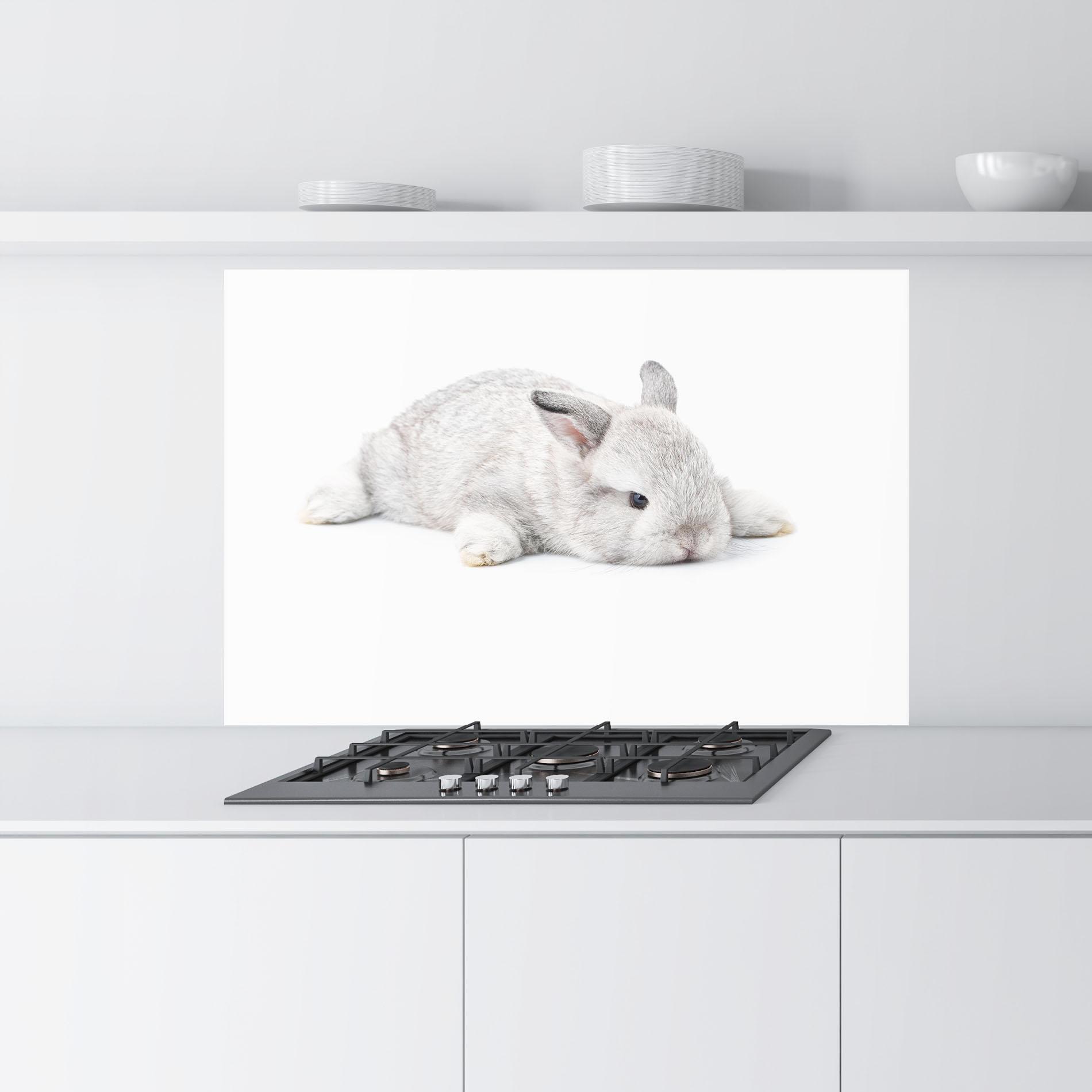 Panou Sticla Bucatarie Light Gray Bunny Sleeping mockup 9