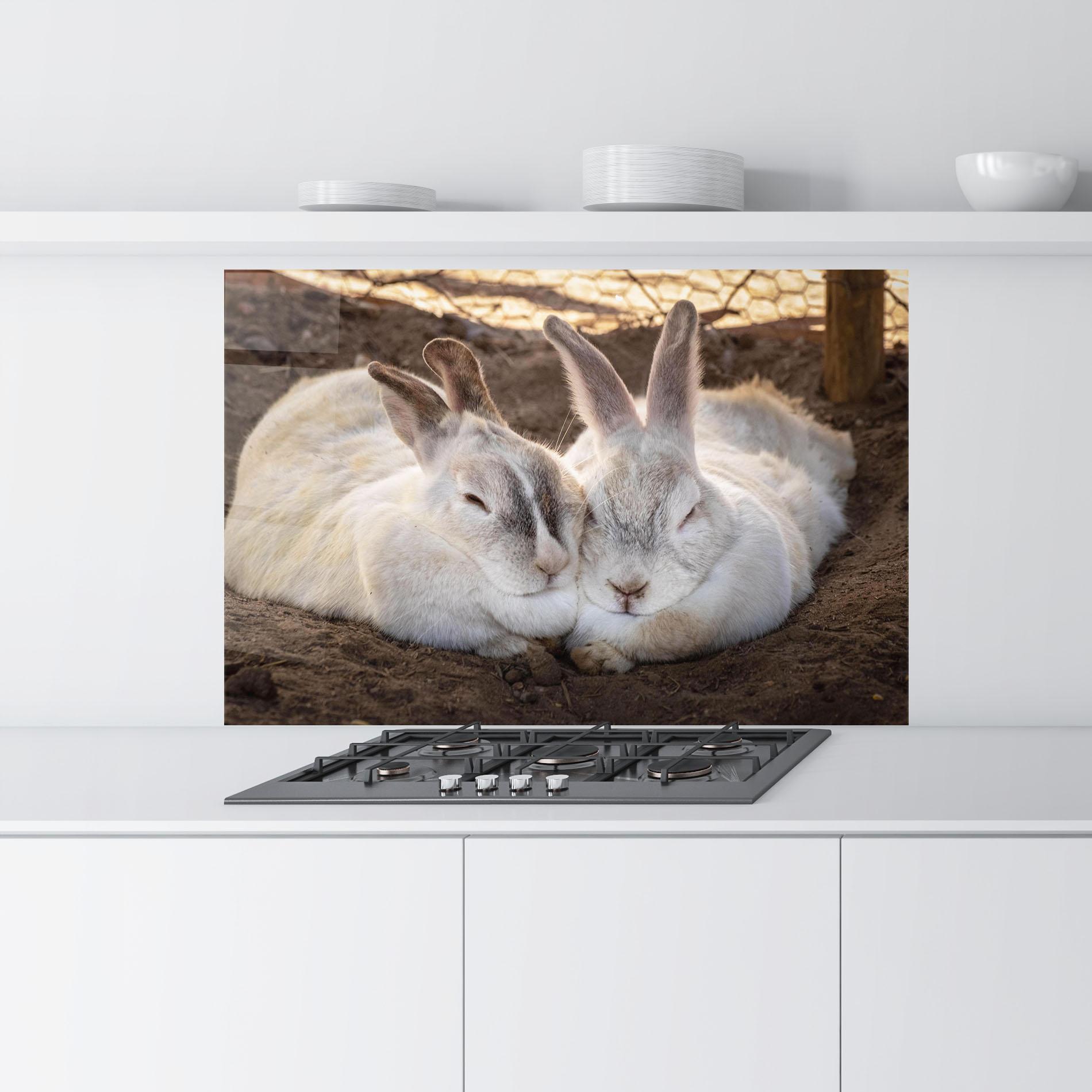 Panou Sticla Bucatarie Light Grey Bunny Sleeping mockup 9