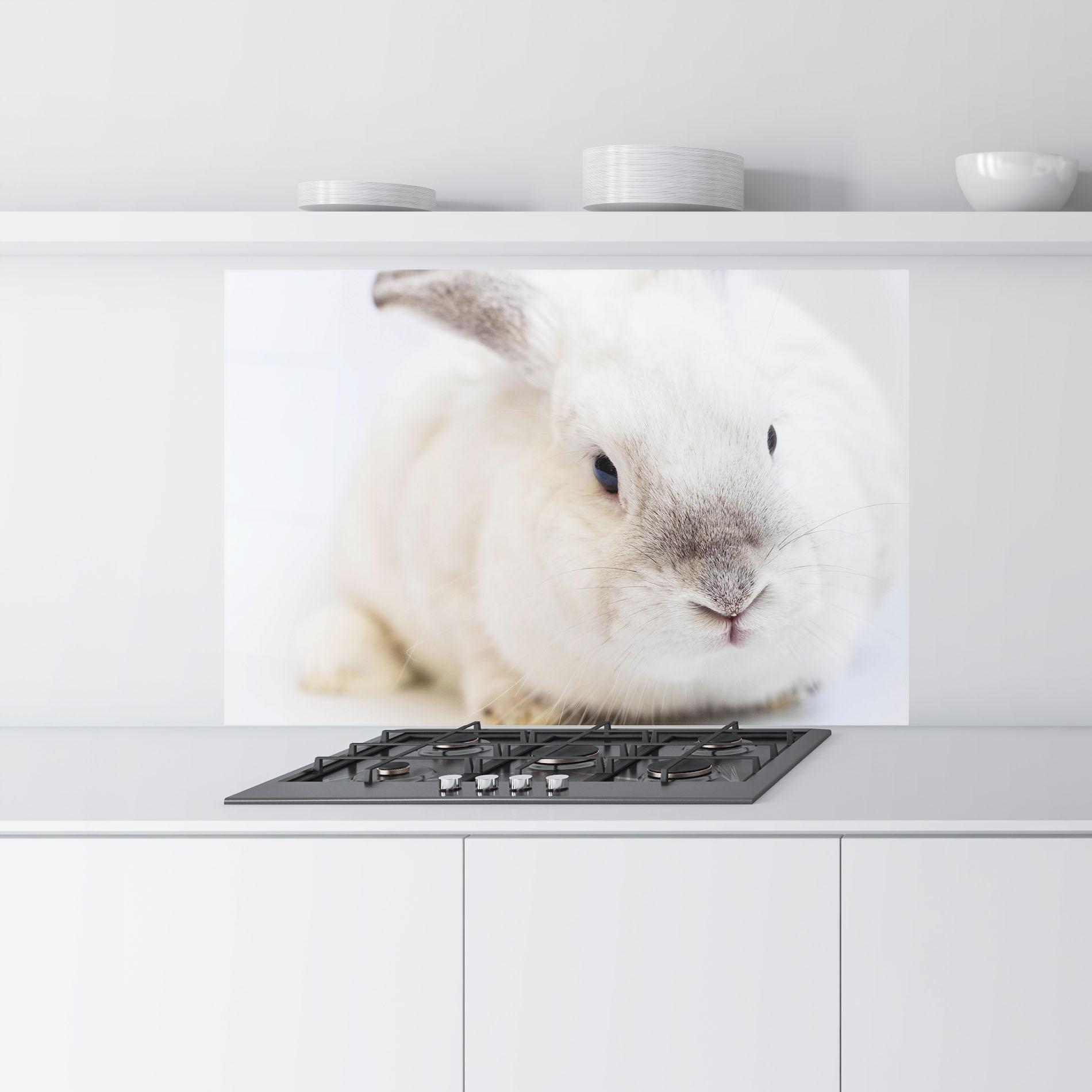 Panou Sticla Bucatarie Light Grey Bunny mockup 9