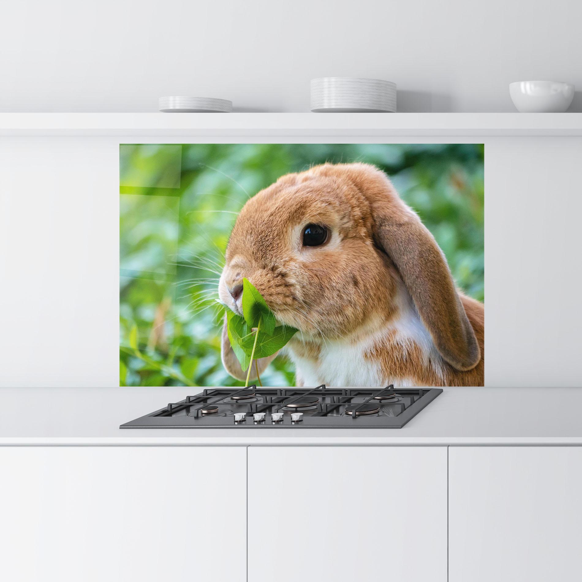 Panou Sticla Bucatarie Orange Bunny Eating mockup 9