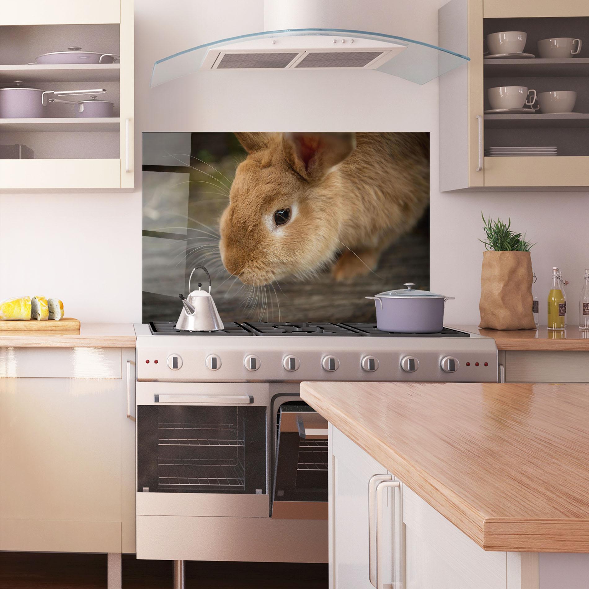 Panou Sticla Bucatarie Orange Bunny Looking mockup 1