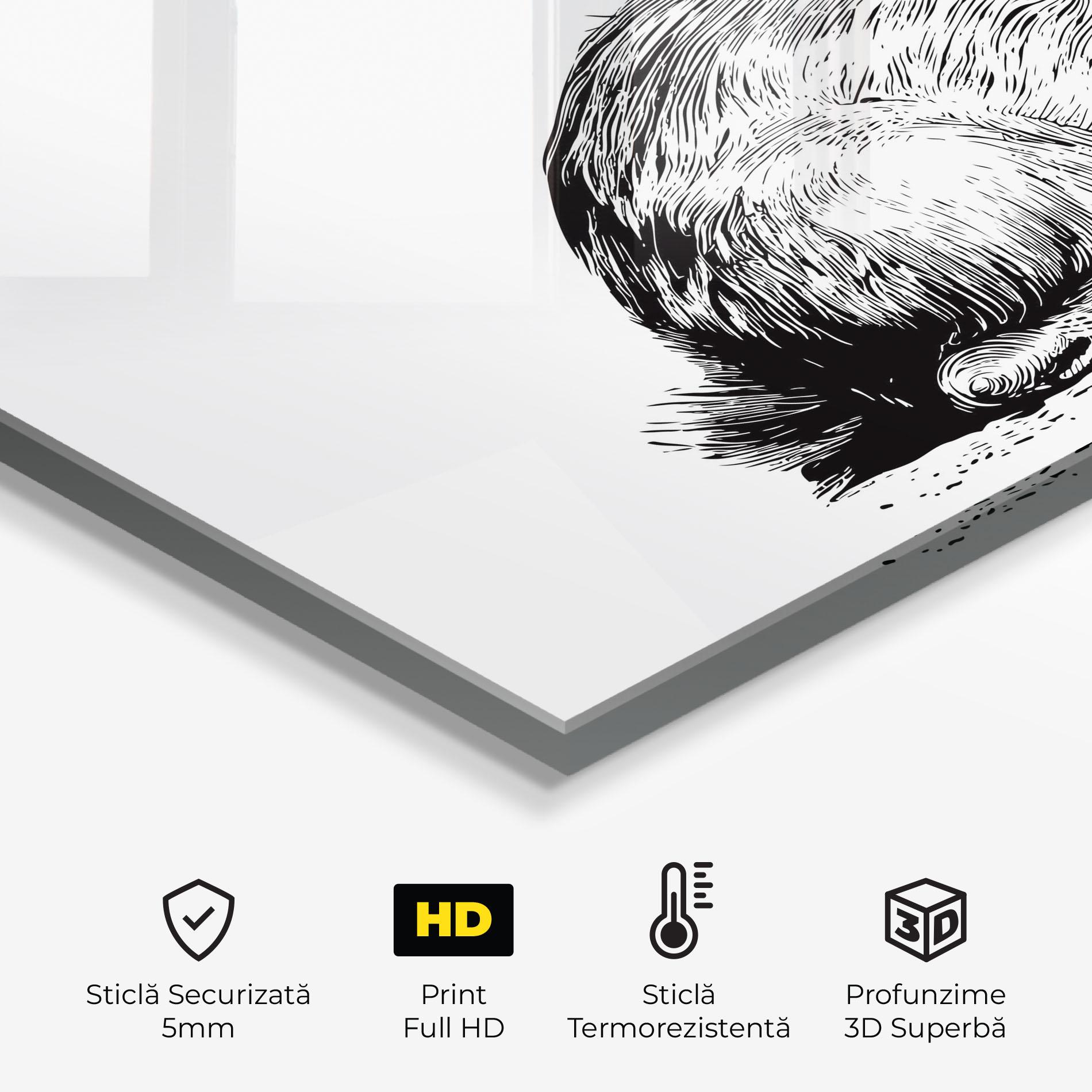 Panou Sticla Bucatarie Bunny Black Lines mockup 2