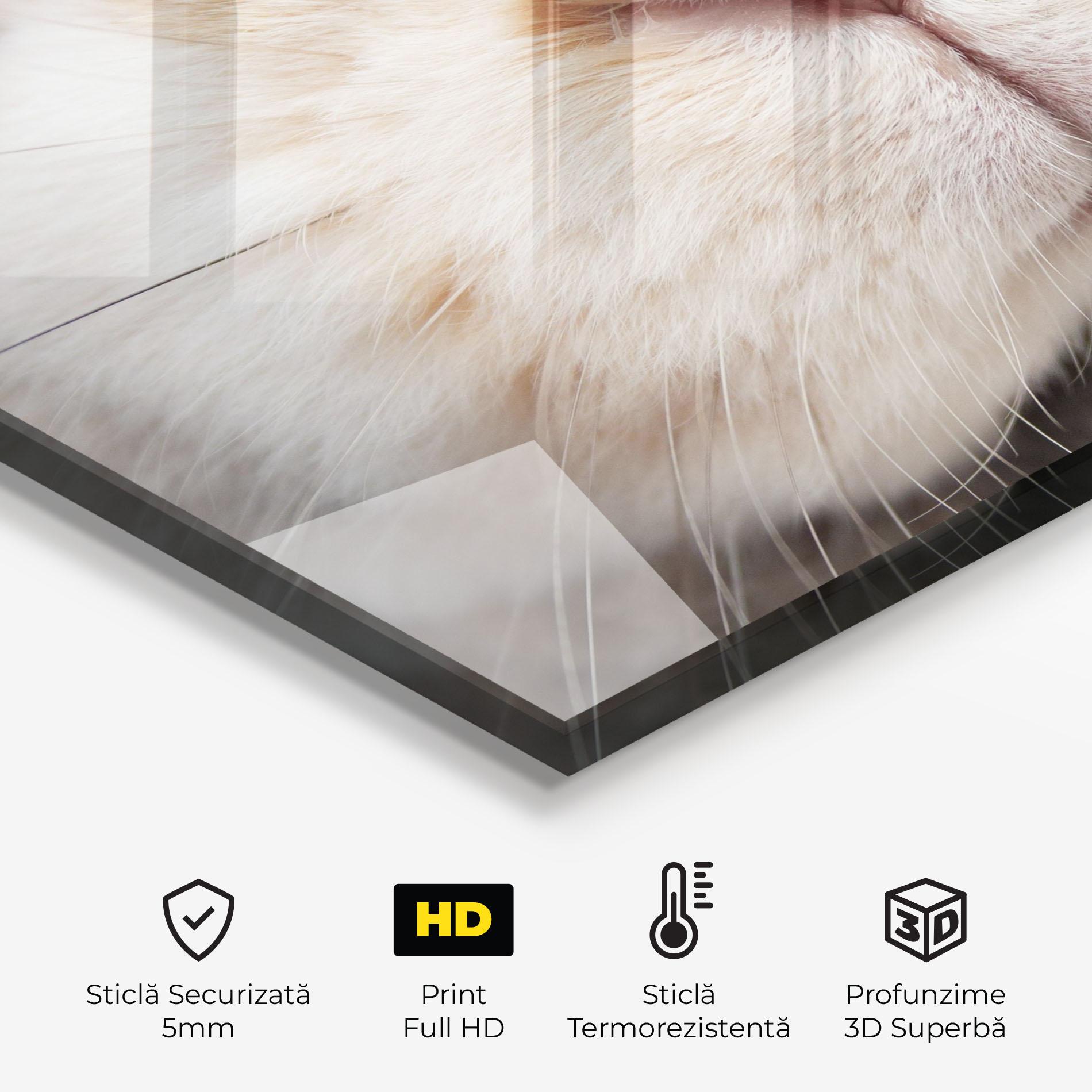 Panou Sticla Bucatarie Close Up Bunny mockup 2