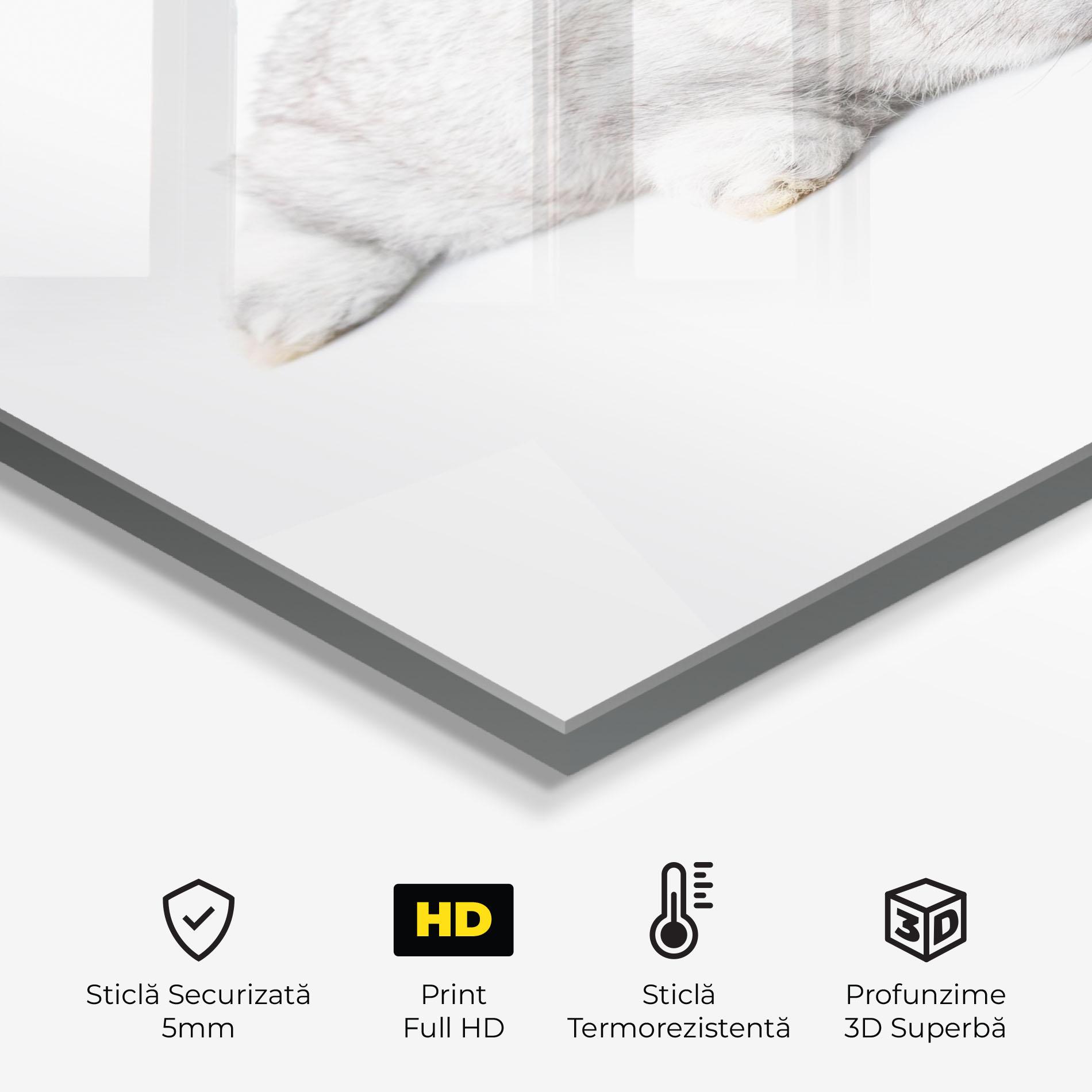 Panou Sticla Bucatarie Light Gray Bunny Sleeping mockup 2