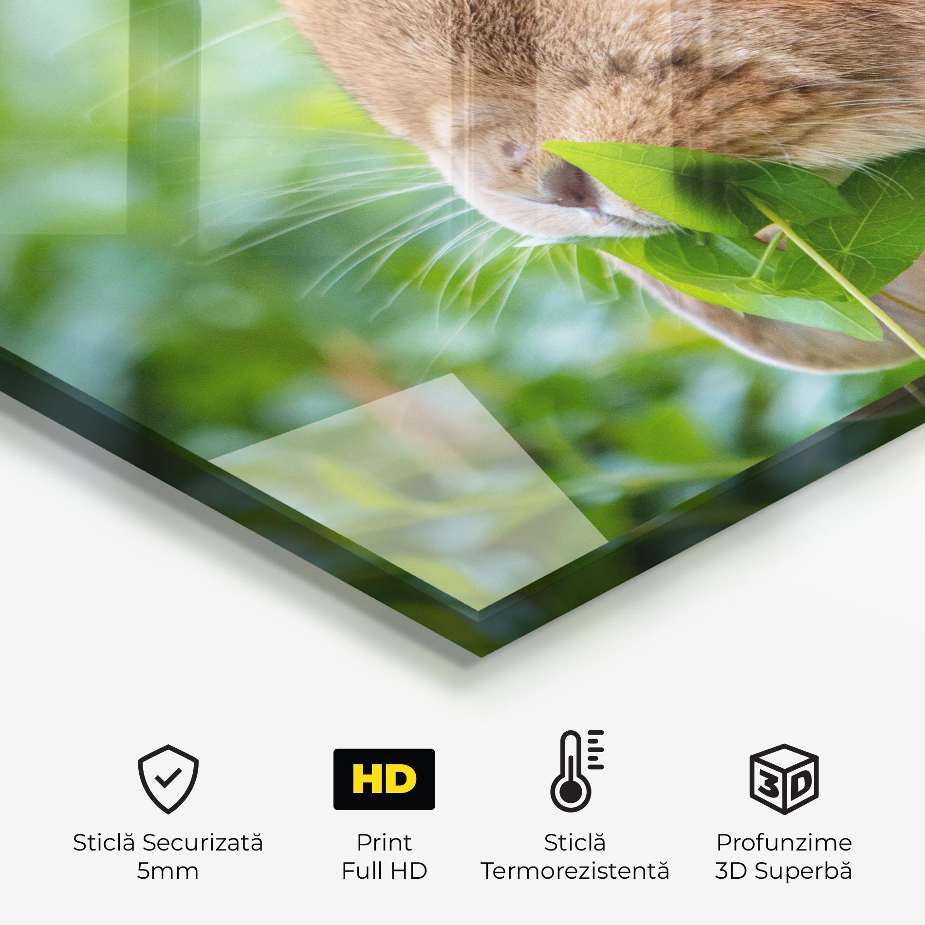 Panou Sticla Bucatarie Orange Bunny Eating mockup 2