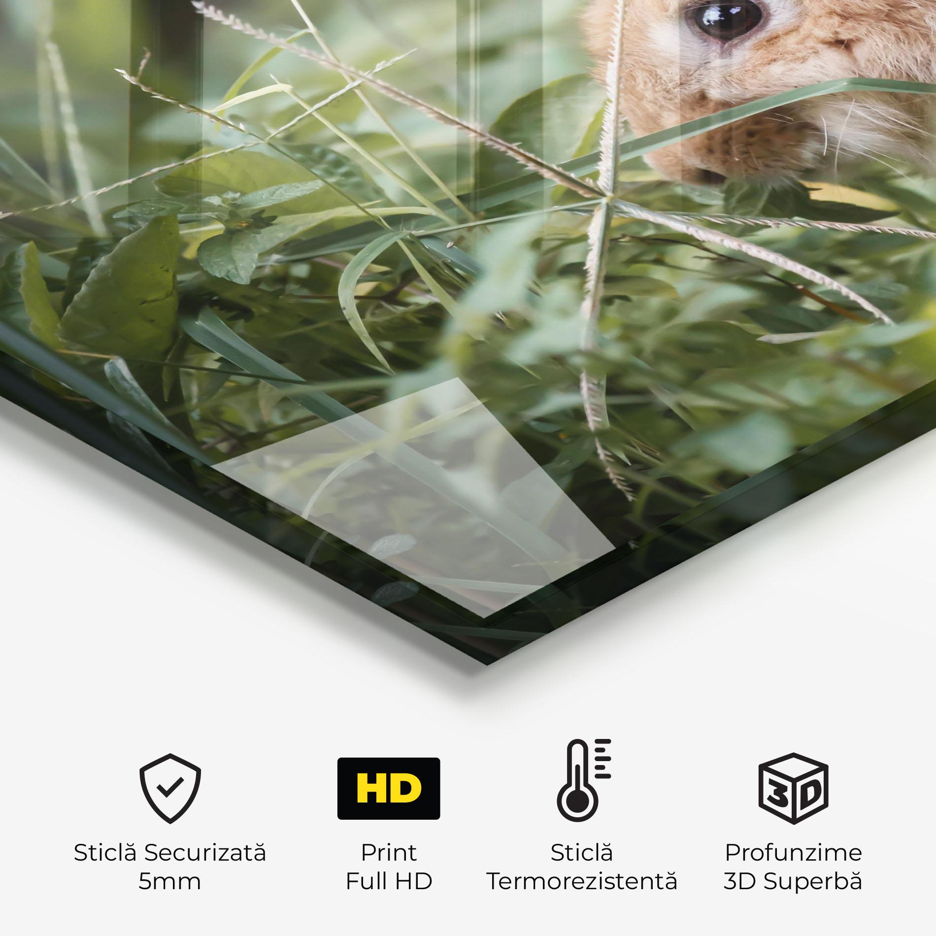 Panou Sticla Bucatarie Orange Bunny Hunting mockup 2