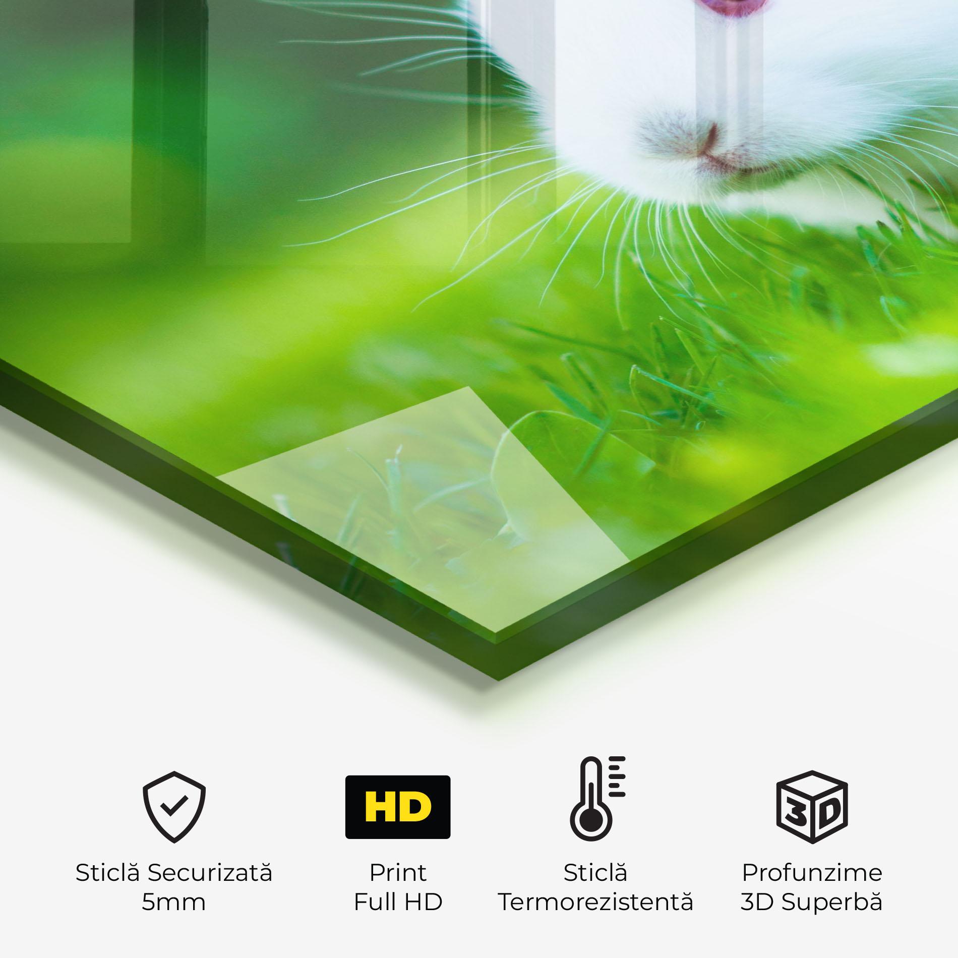 Panou Sticla Bucatarie Red Eye Bunny mockup 2