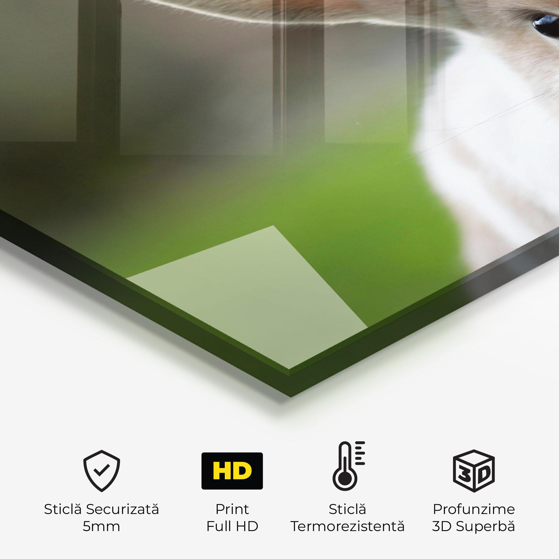 Panou Sticla Bucatarie Up Ear Bunny mockup 2