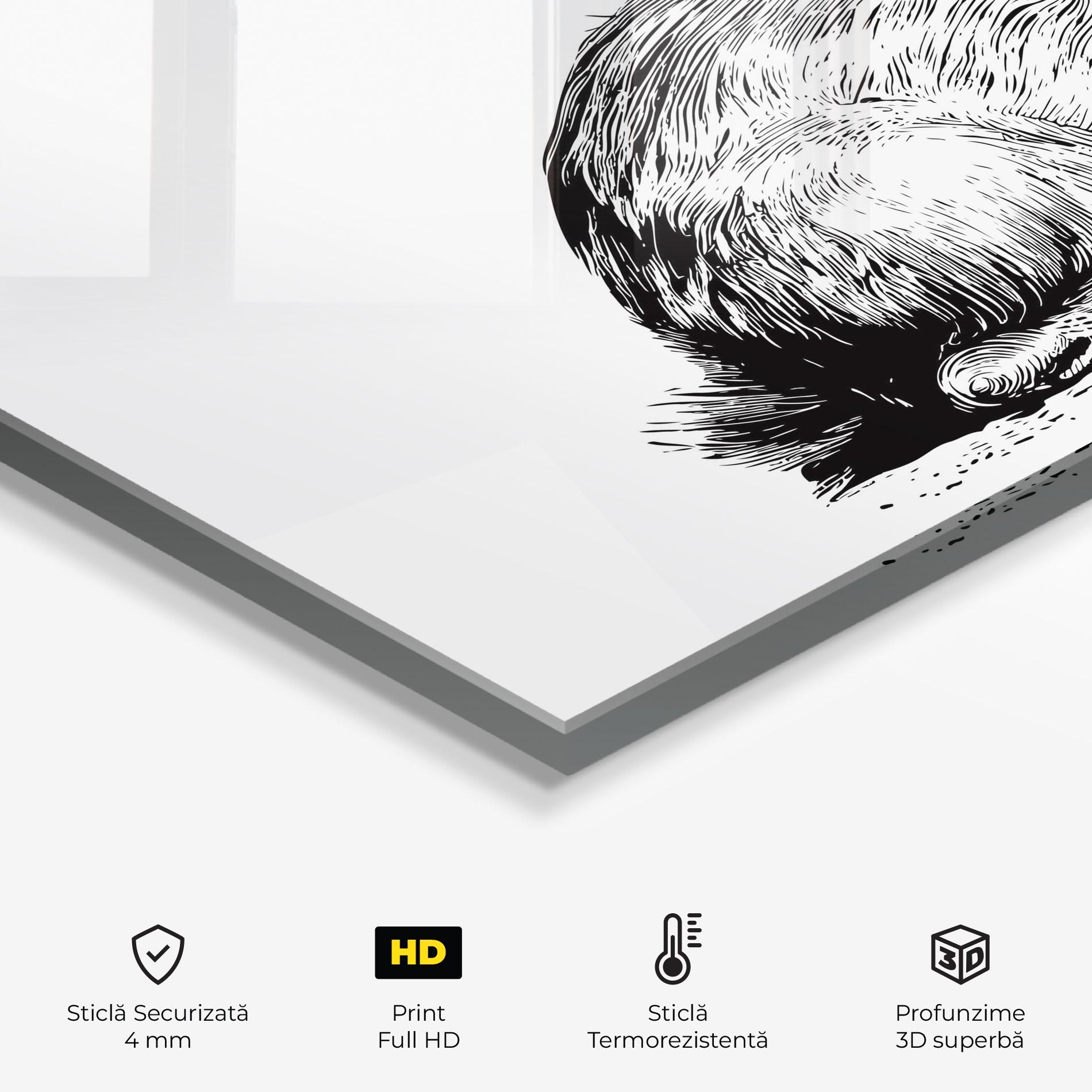 Panou Sticla Bucatarie Bunny Black Lines mockup 2