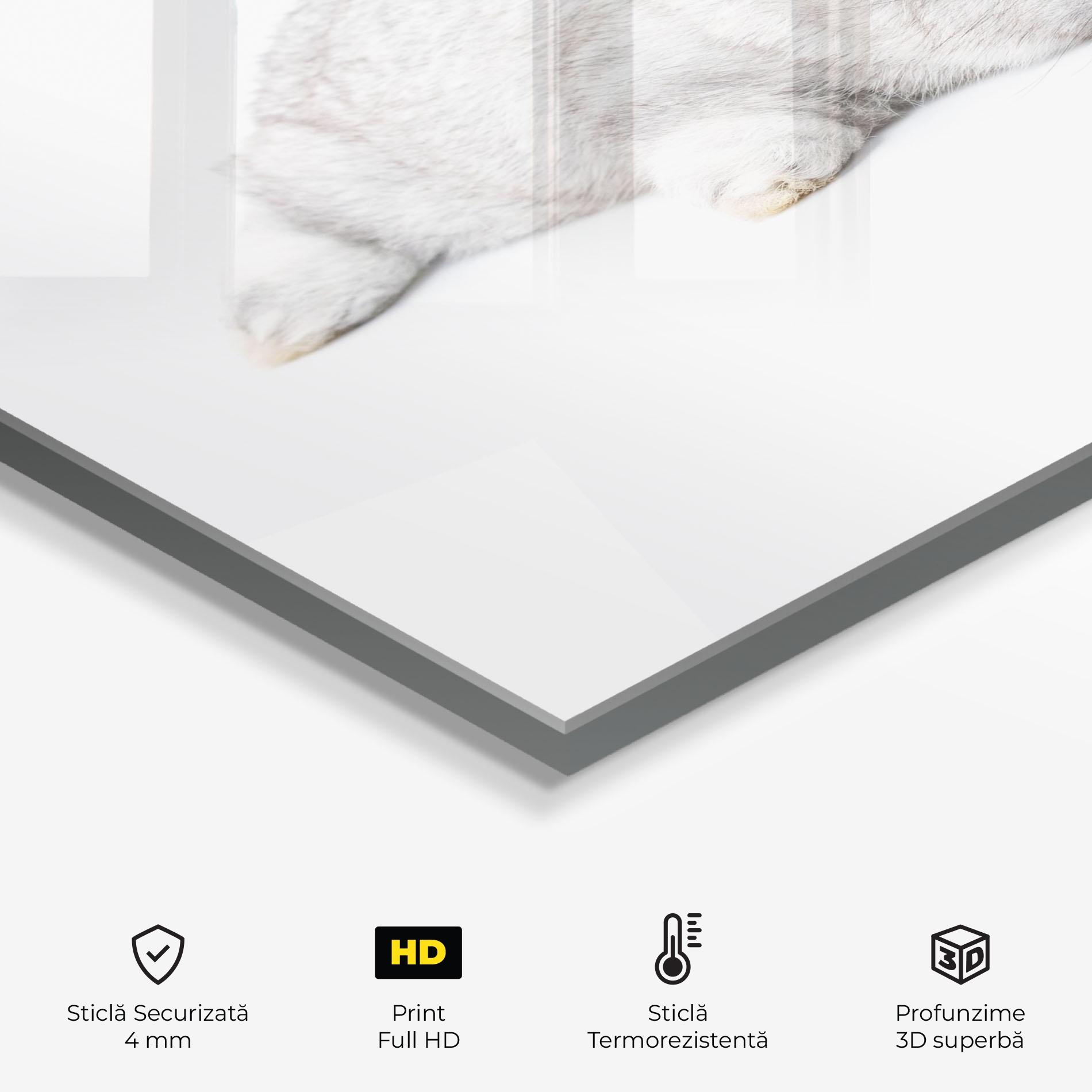 Panou Sticla Bucatarie Light Gray Bunny Sleeping mockup 2