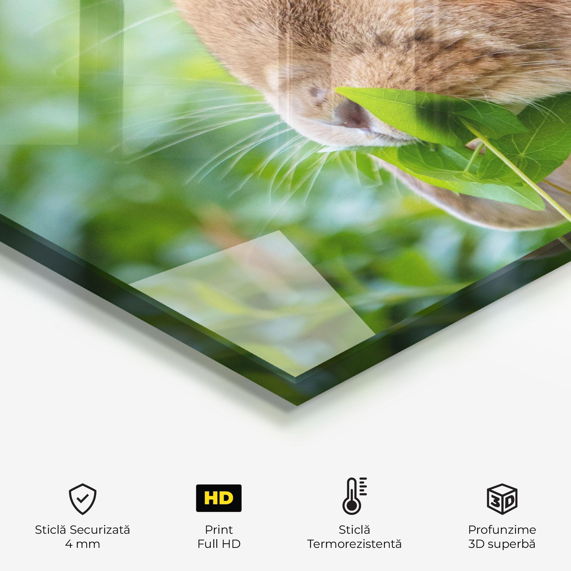 Panou Sticla Bucatarie Orange Bunny Eating mockup 2