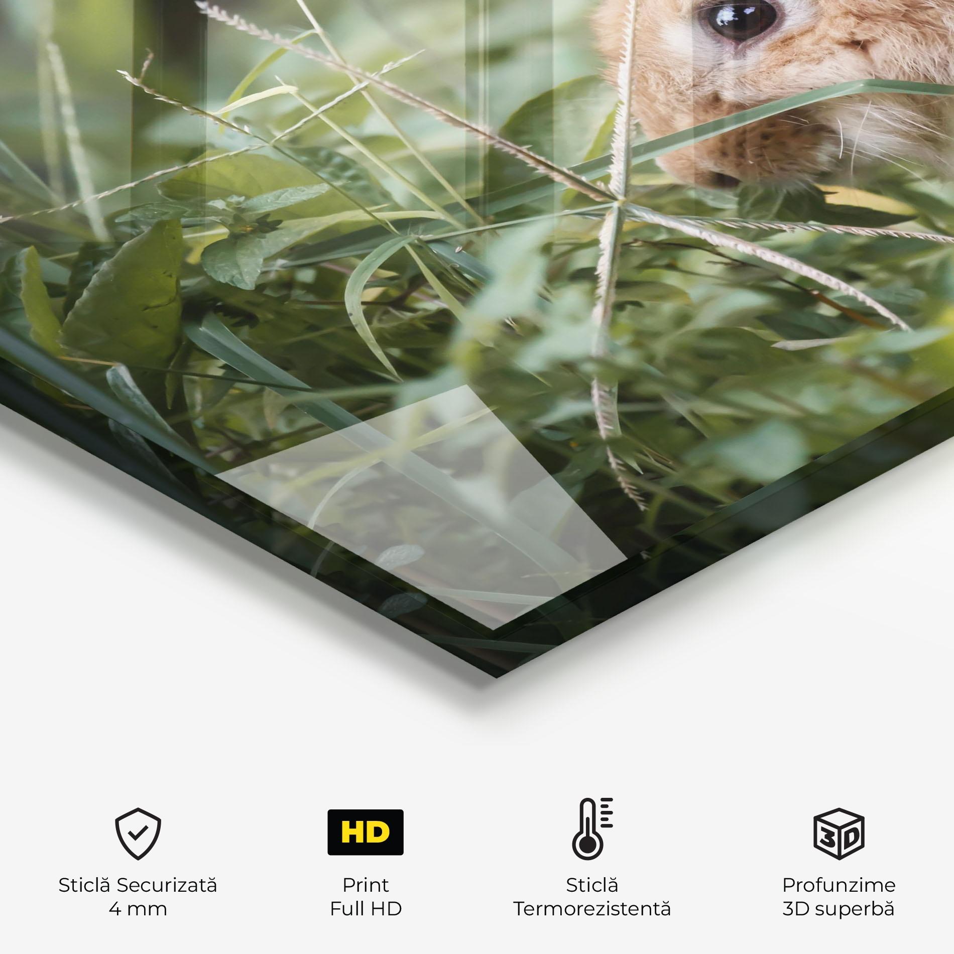 Panou Sticla Bucatarie Orange Bunny Hunting mockup 2