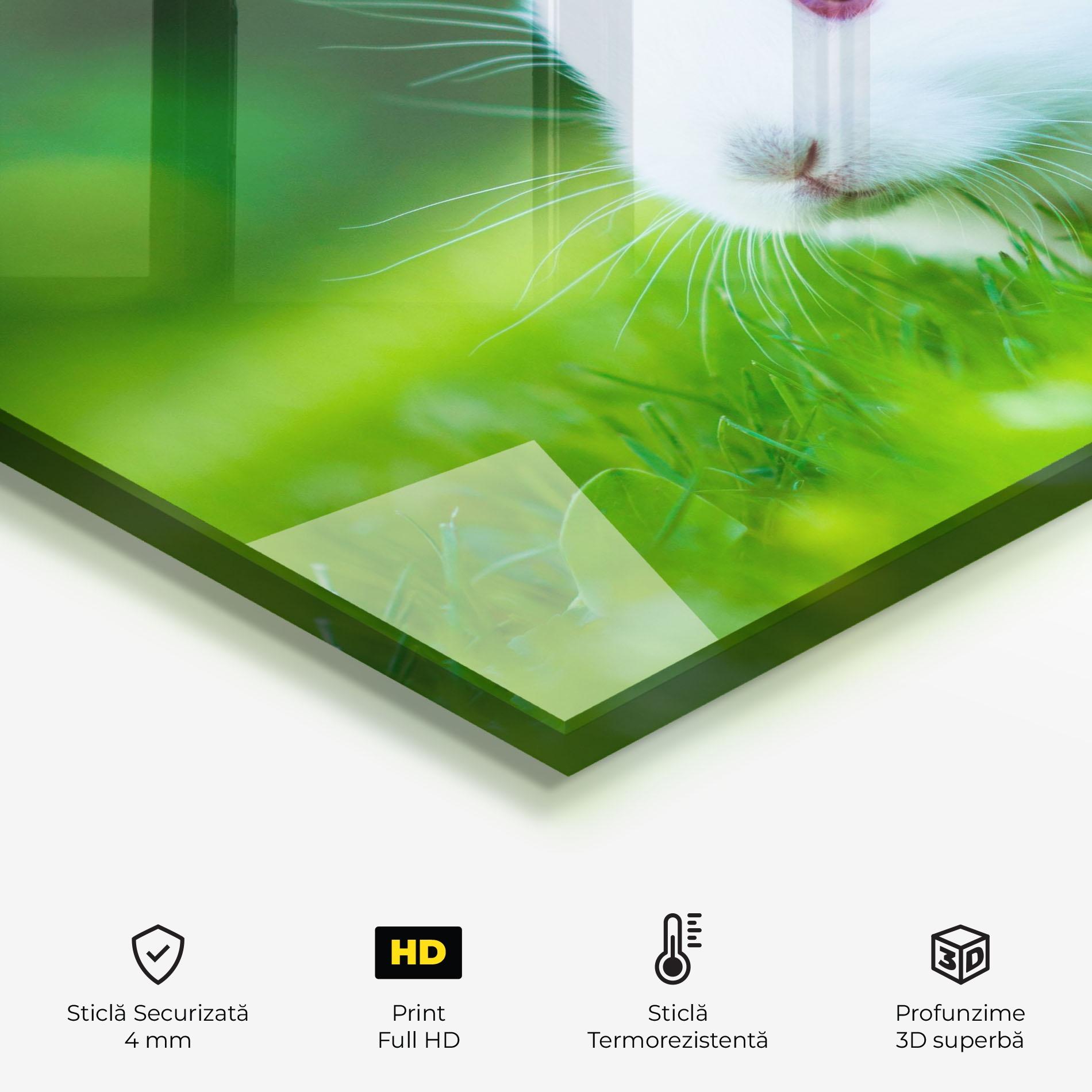 Panou Sticla Bucatarie Red Eye Bunny mockup 2