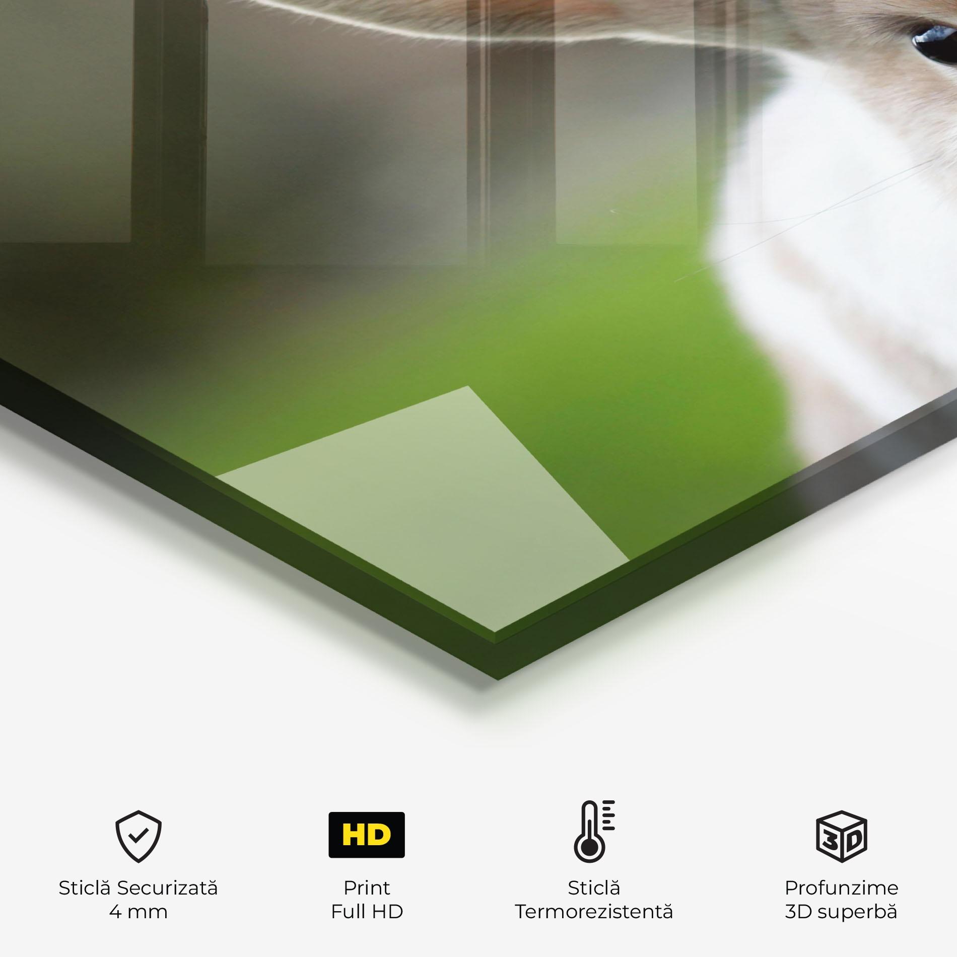 Panou Sticla Bucatarie Up Ear Bunny mockup 2